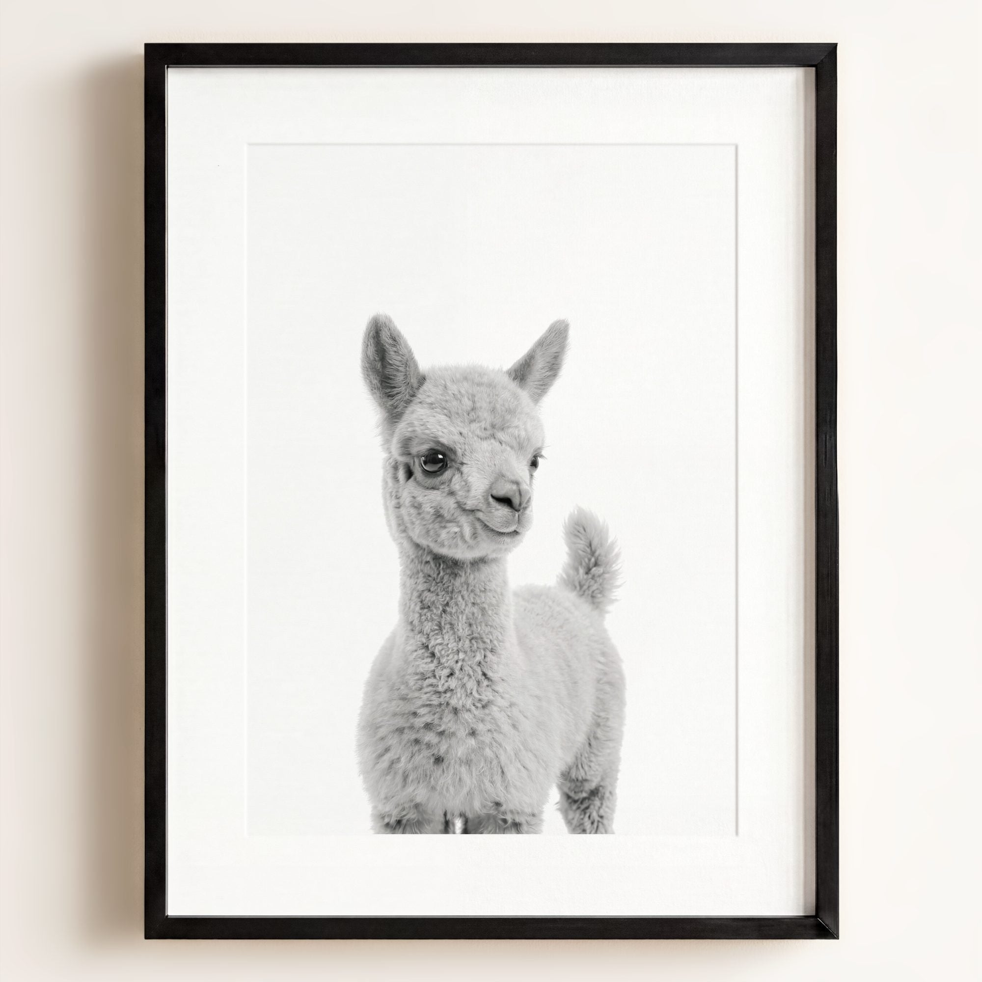 Baby Llama