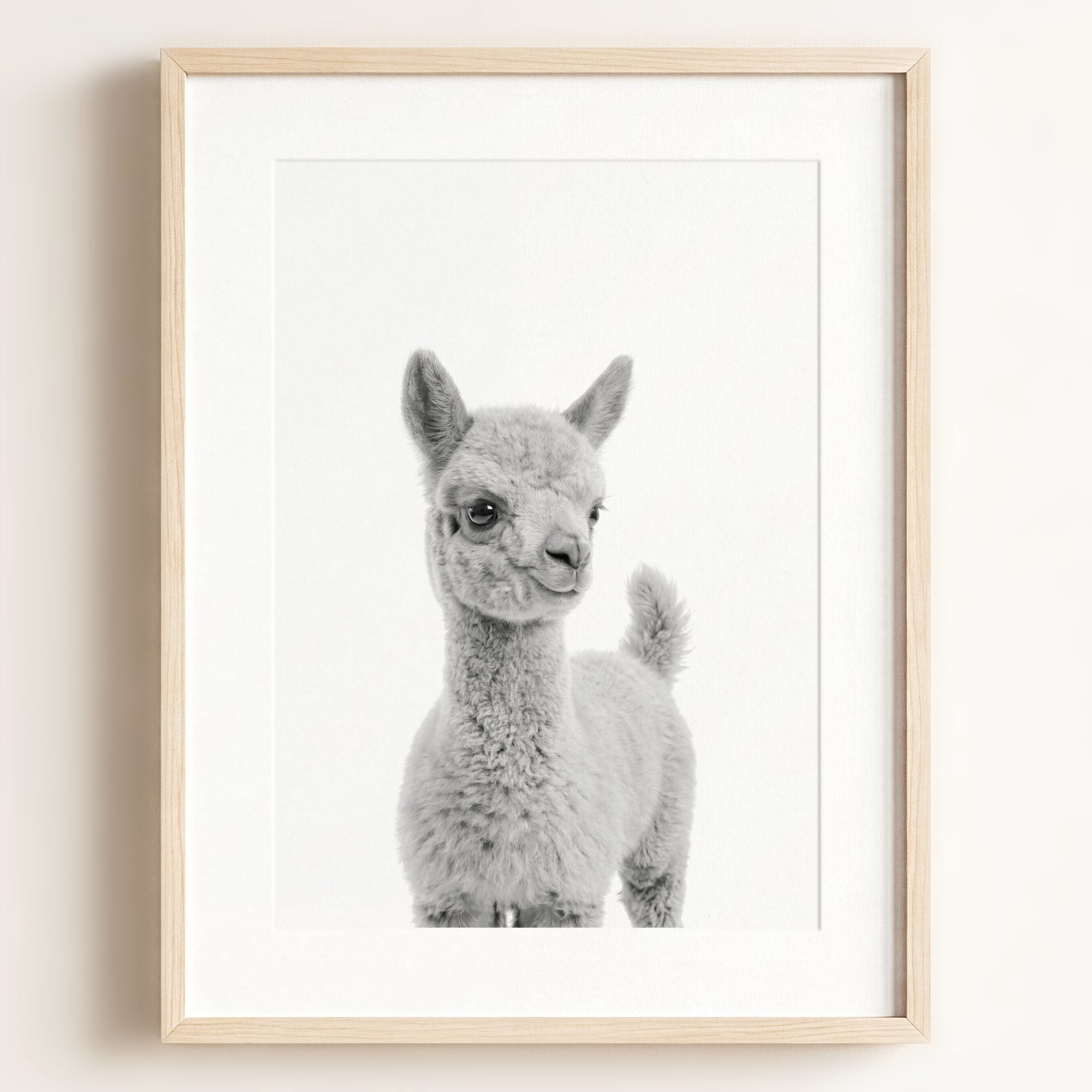 Baby Llama