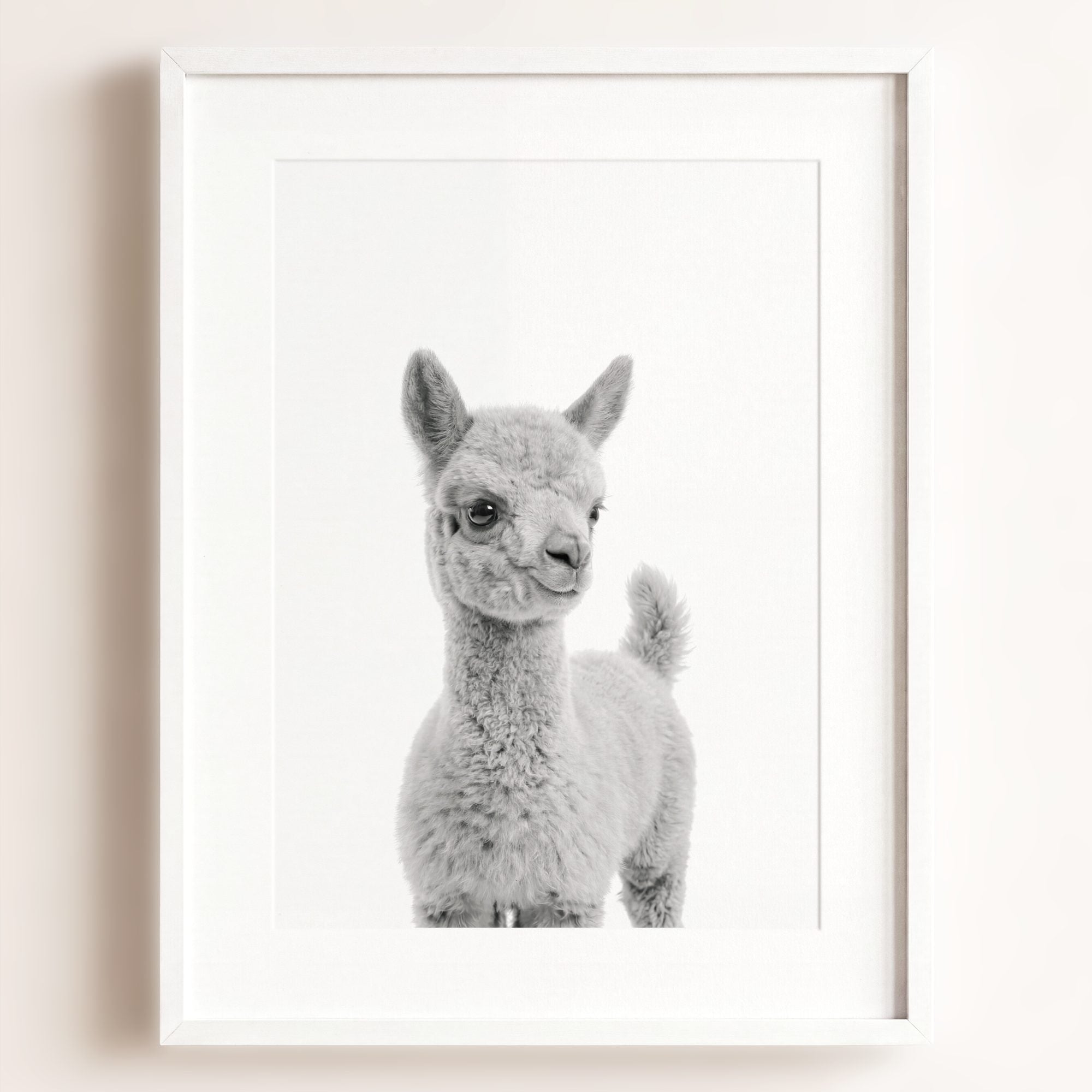 Baby Llama