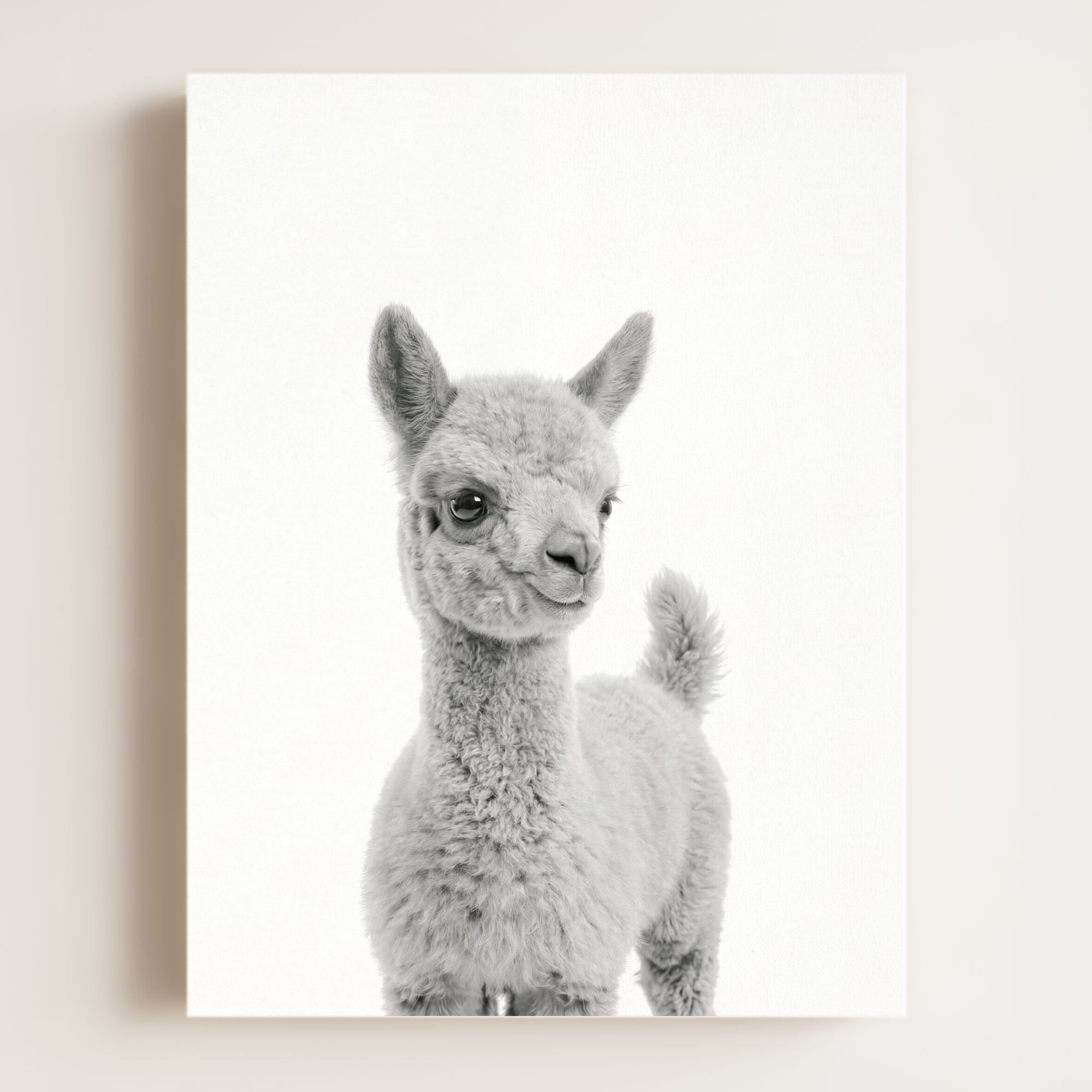 Baby Llama