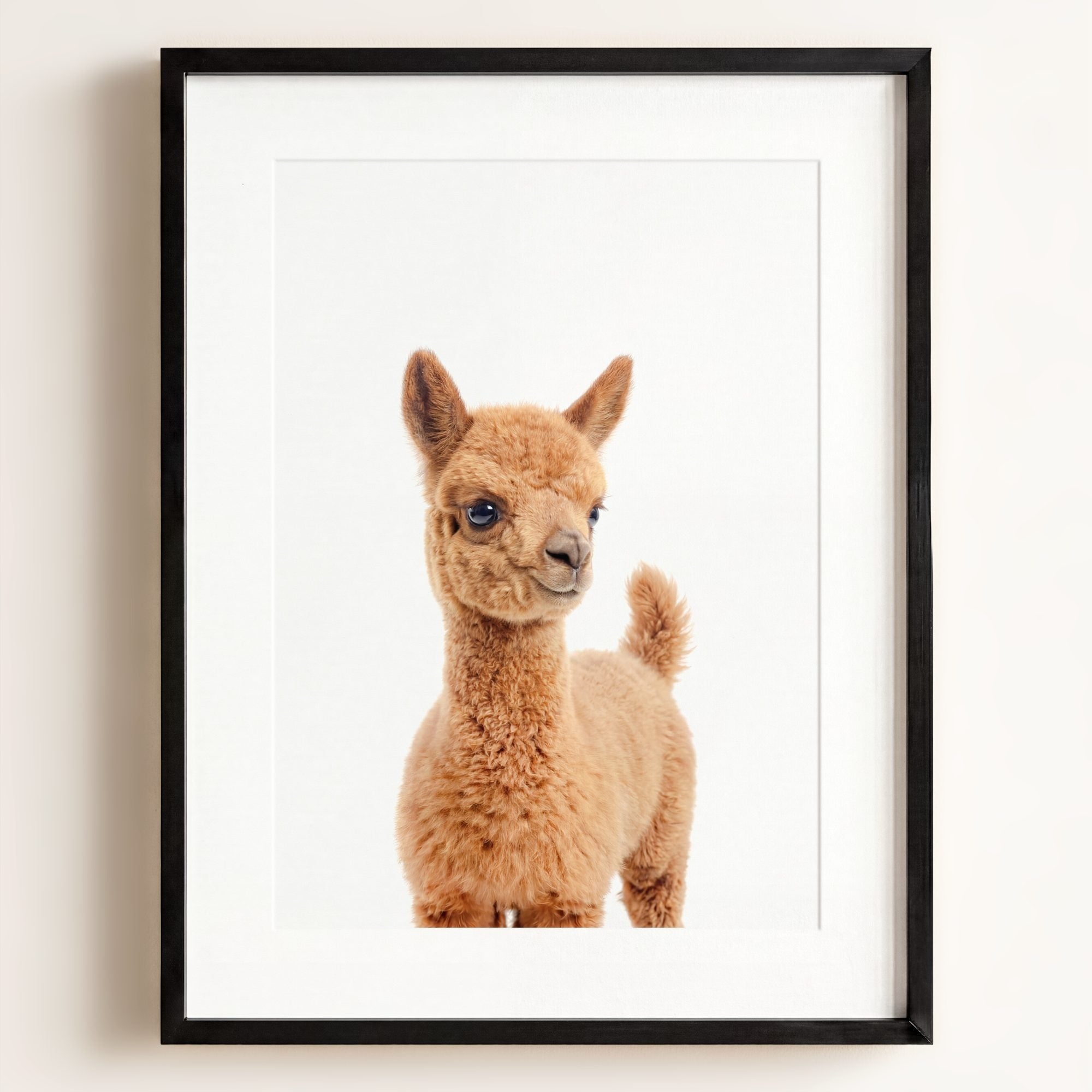 Baby Llama