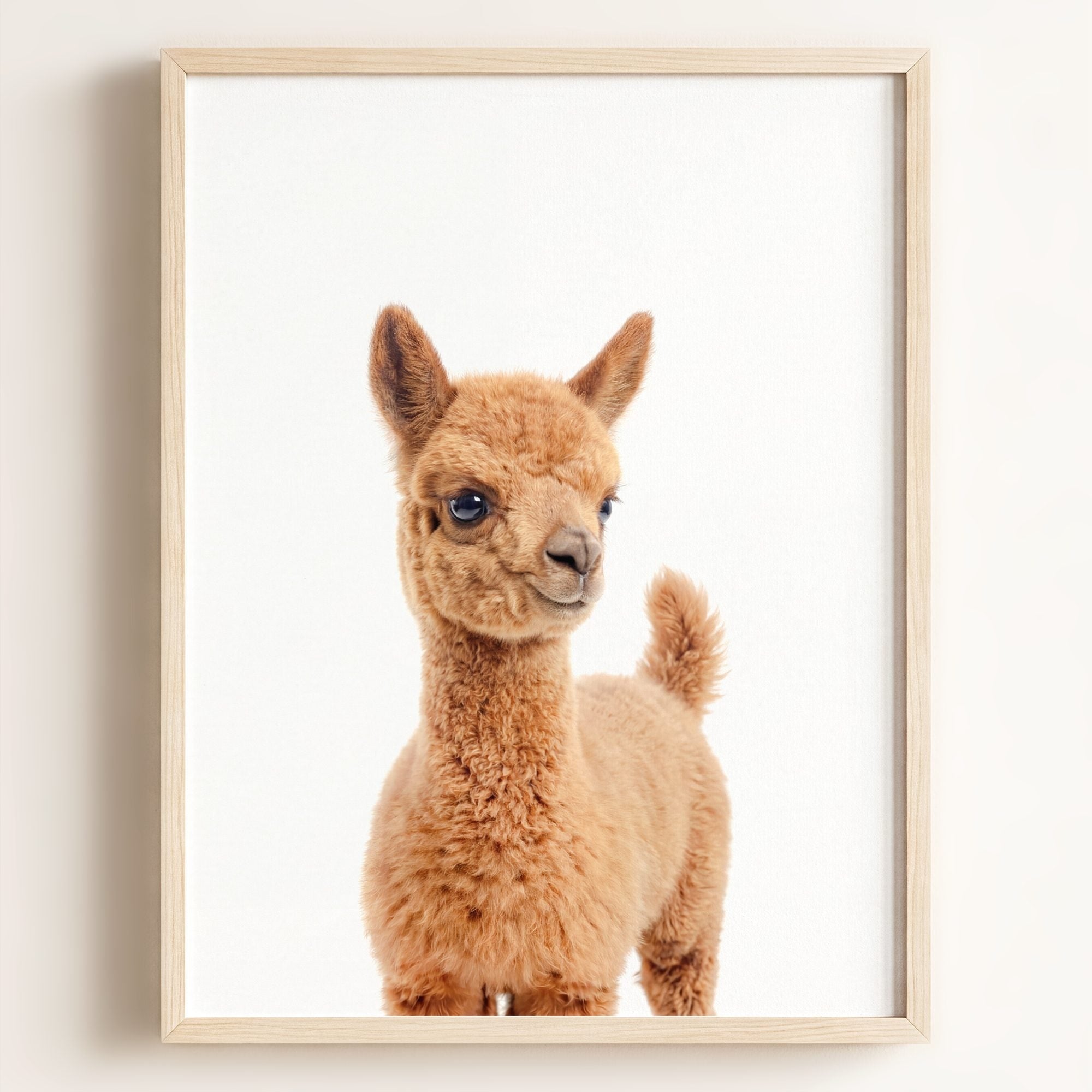 Baby Llama