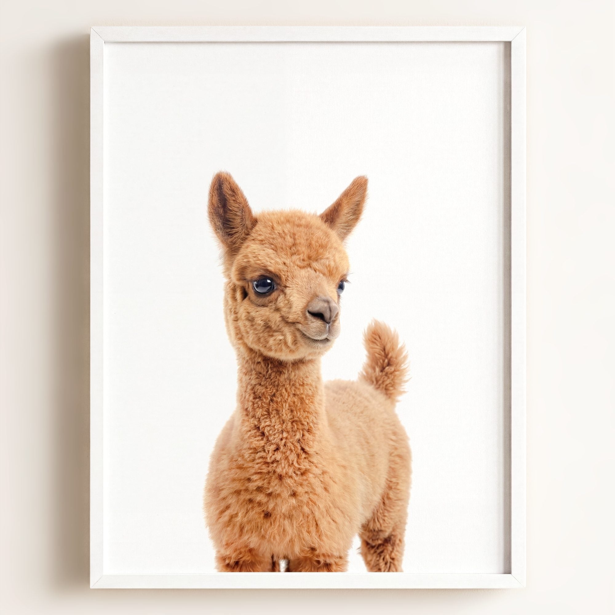 Baby Llama