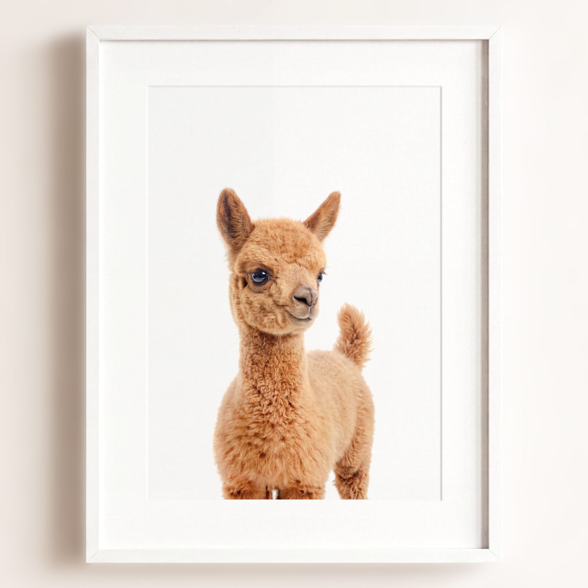 Baby Llama