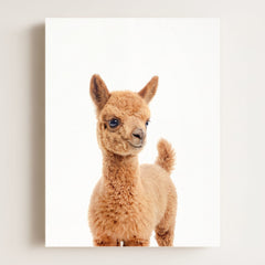 Baby Llama