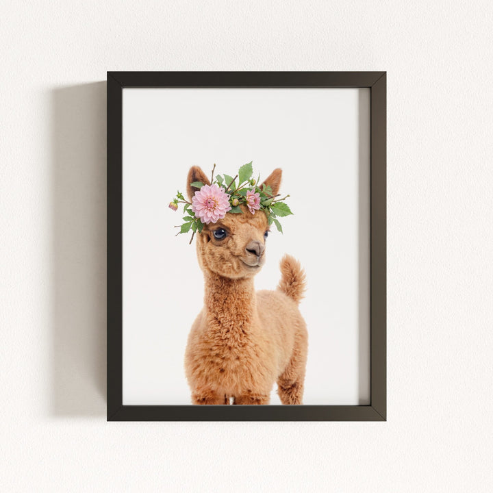 Baby Llama