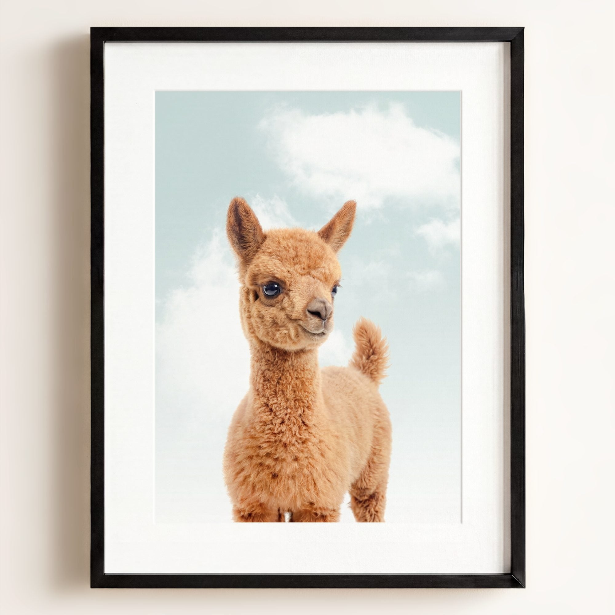Baby Llama
