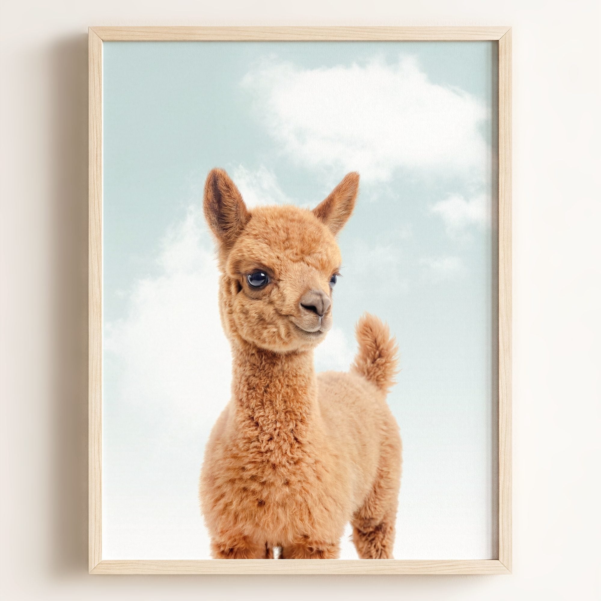 Baby Llama