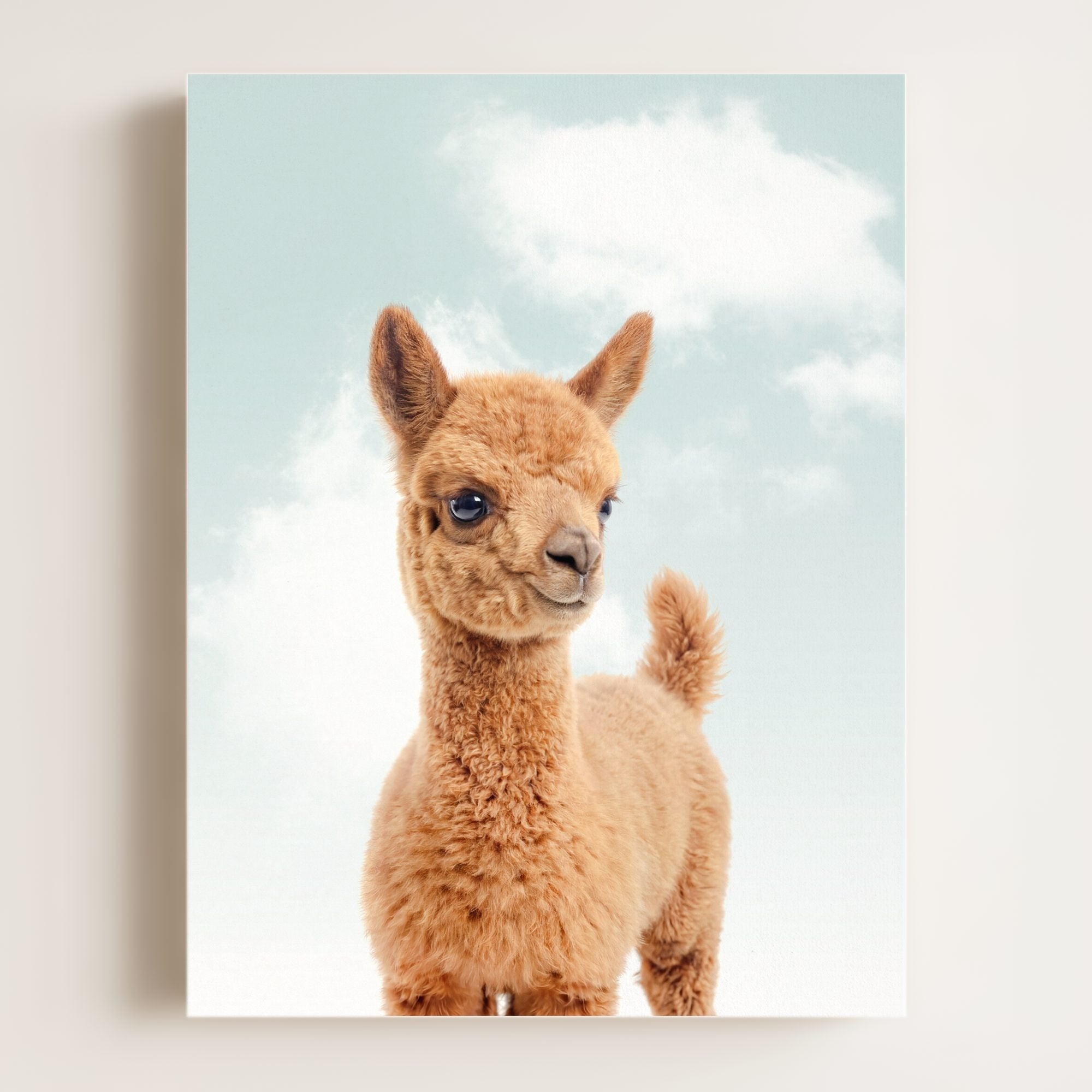 Baby Llama