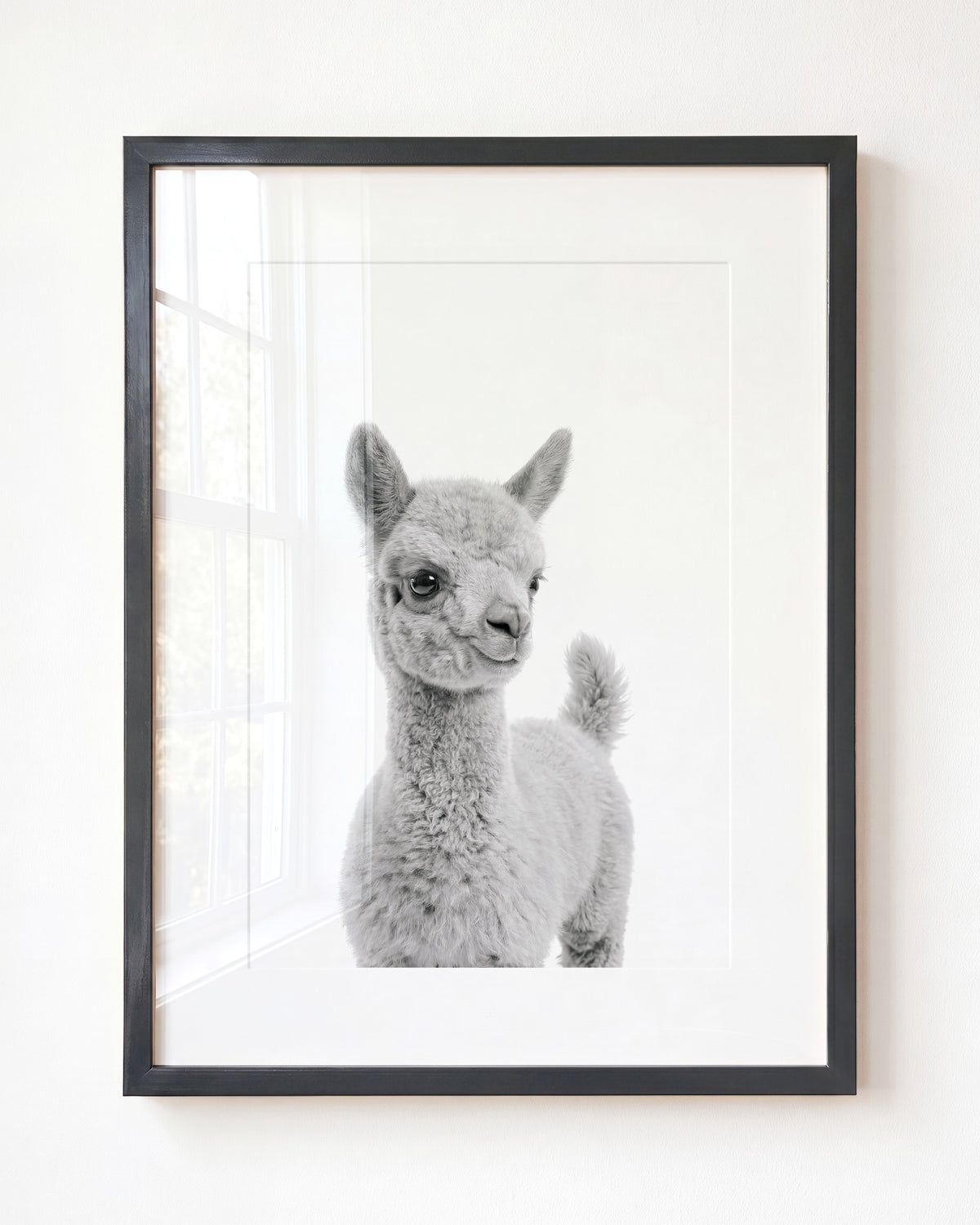 Baby Llama