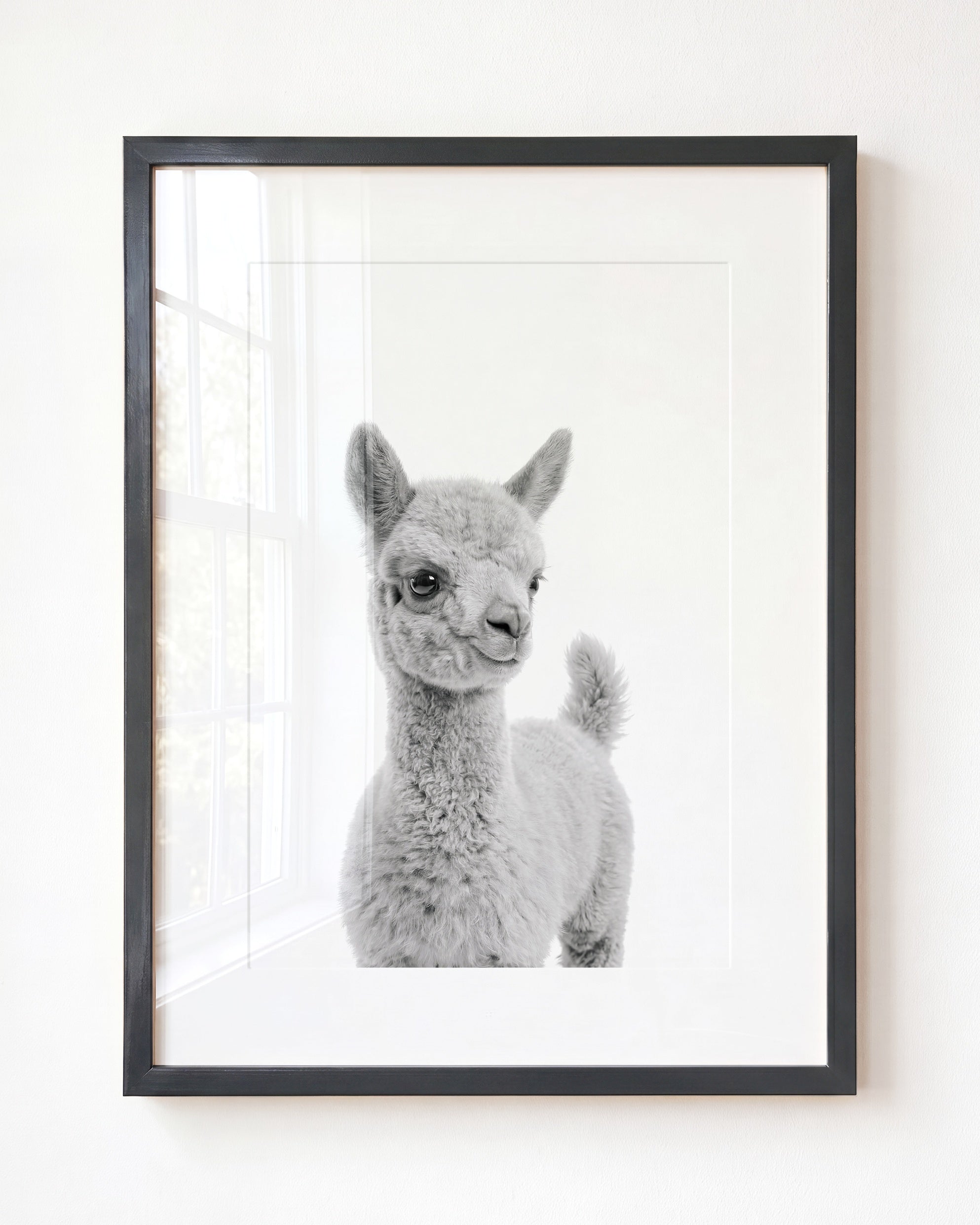 Baby Llama