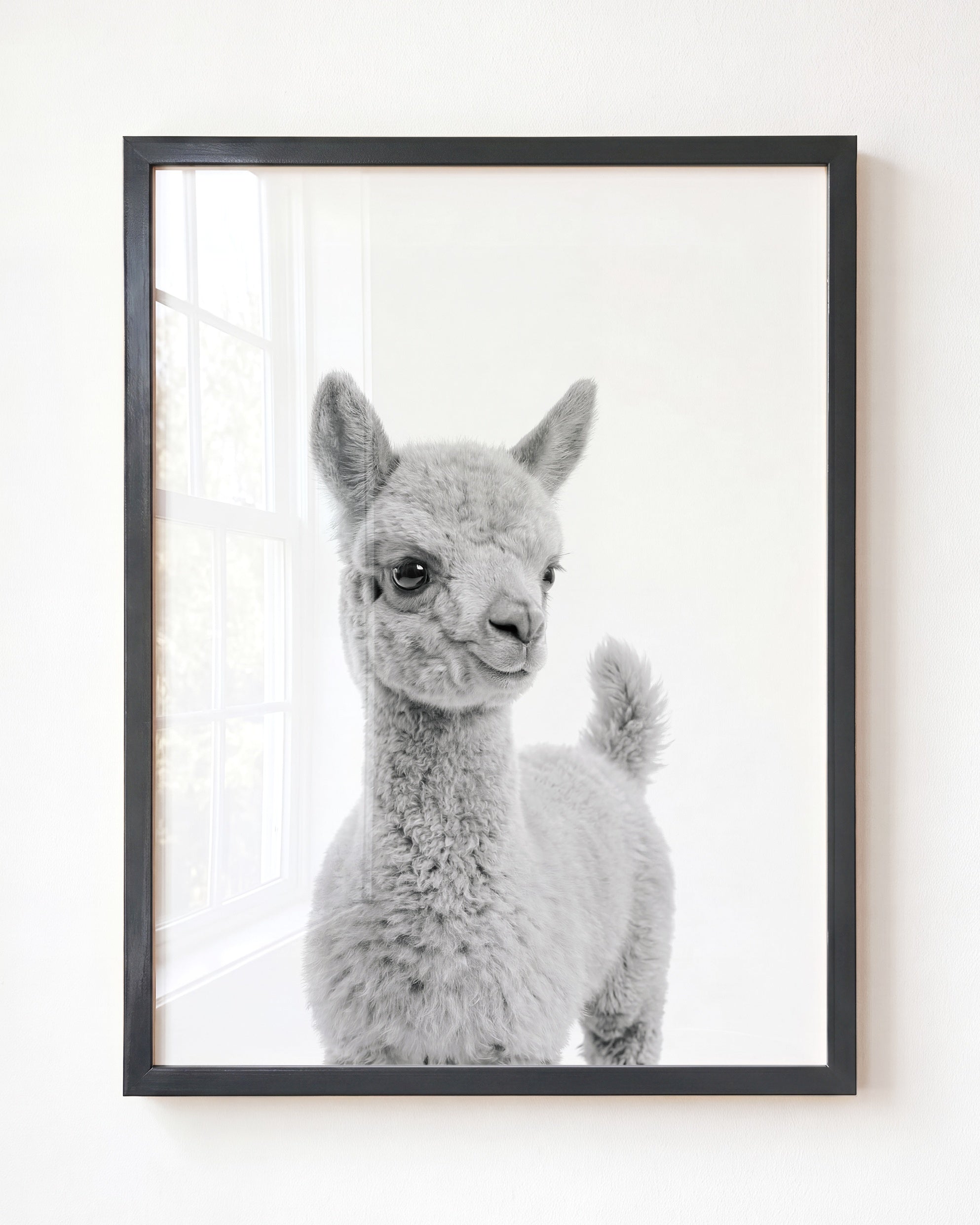 Baby Llama