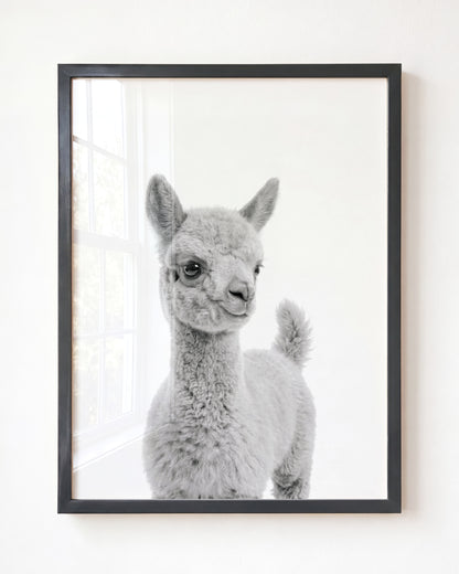 Baby Llama