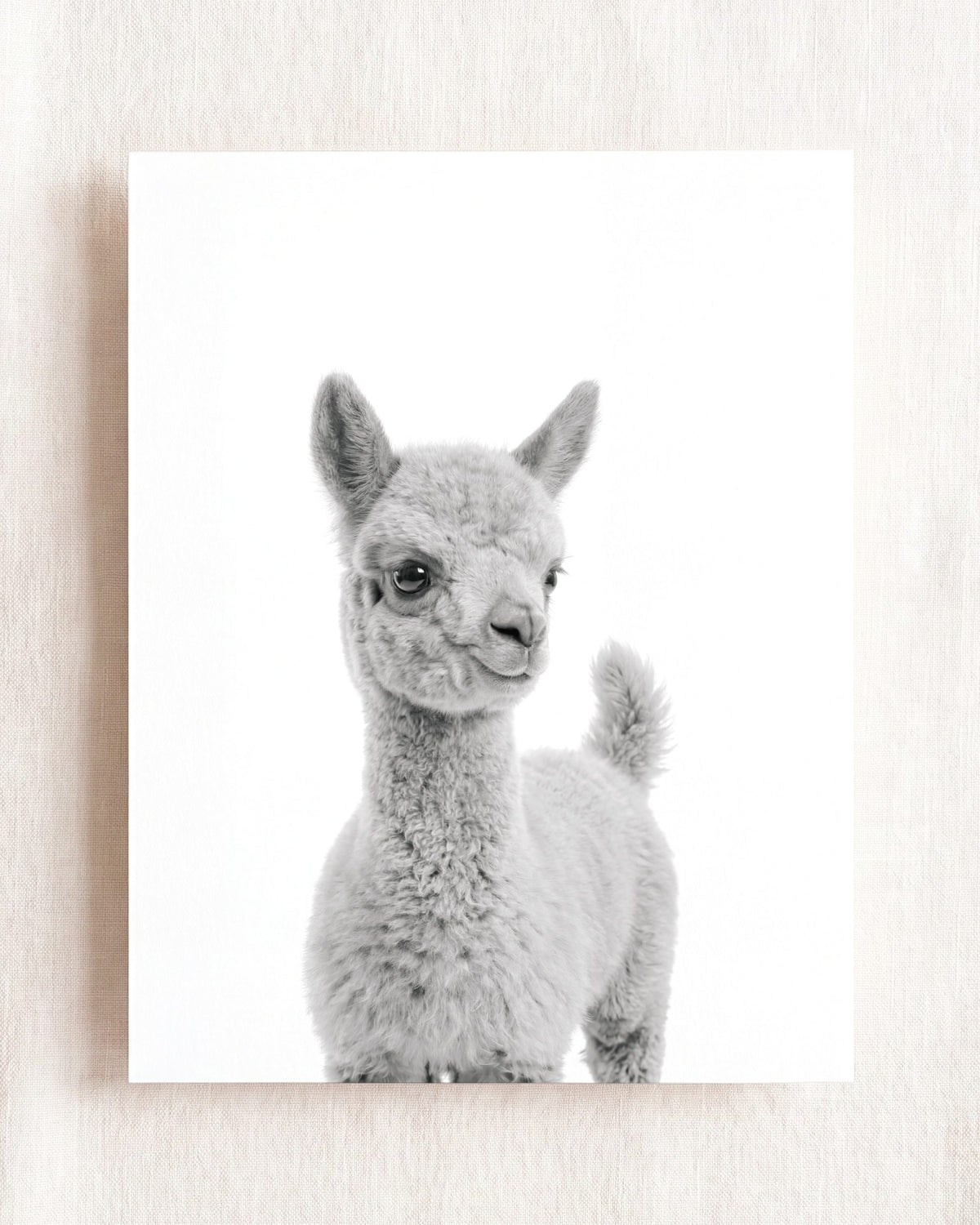Baby Llama
