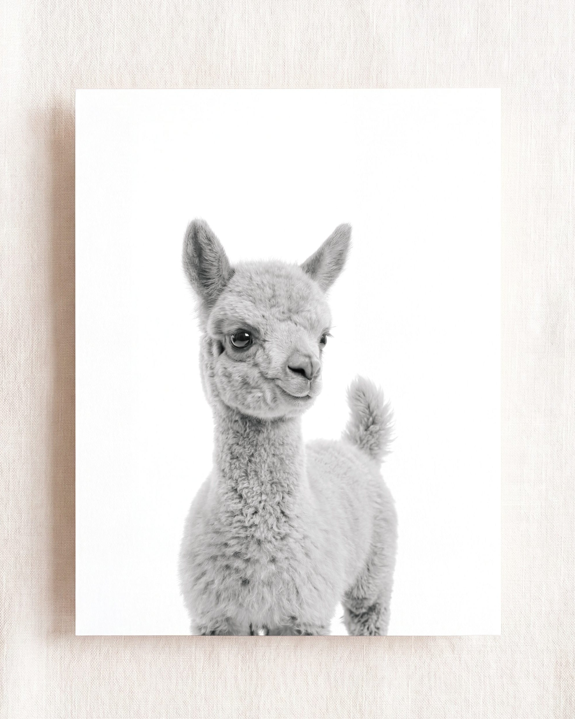 Baby Llama