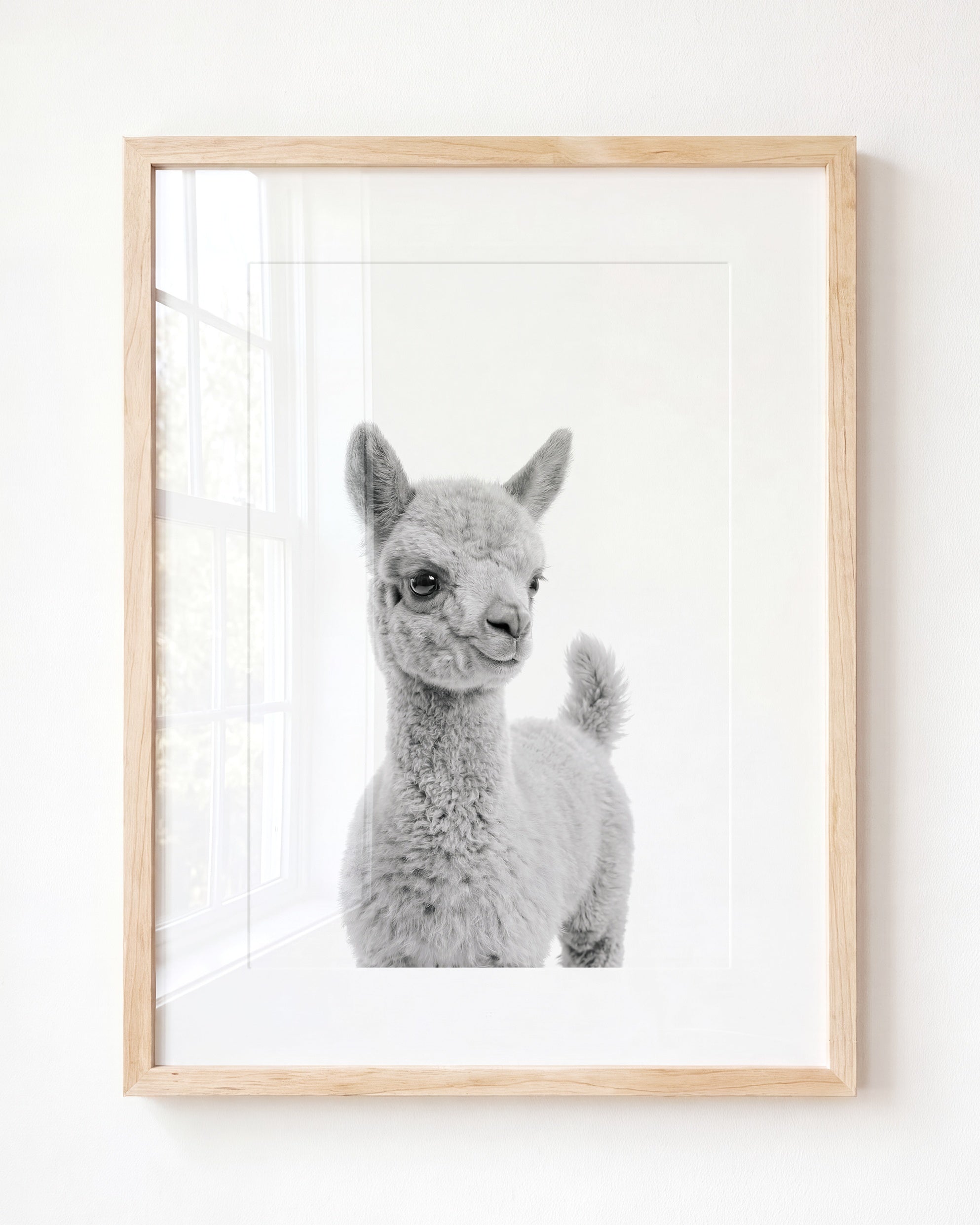 Baby Llama