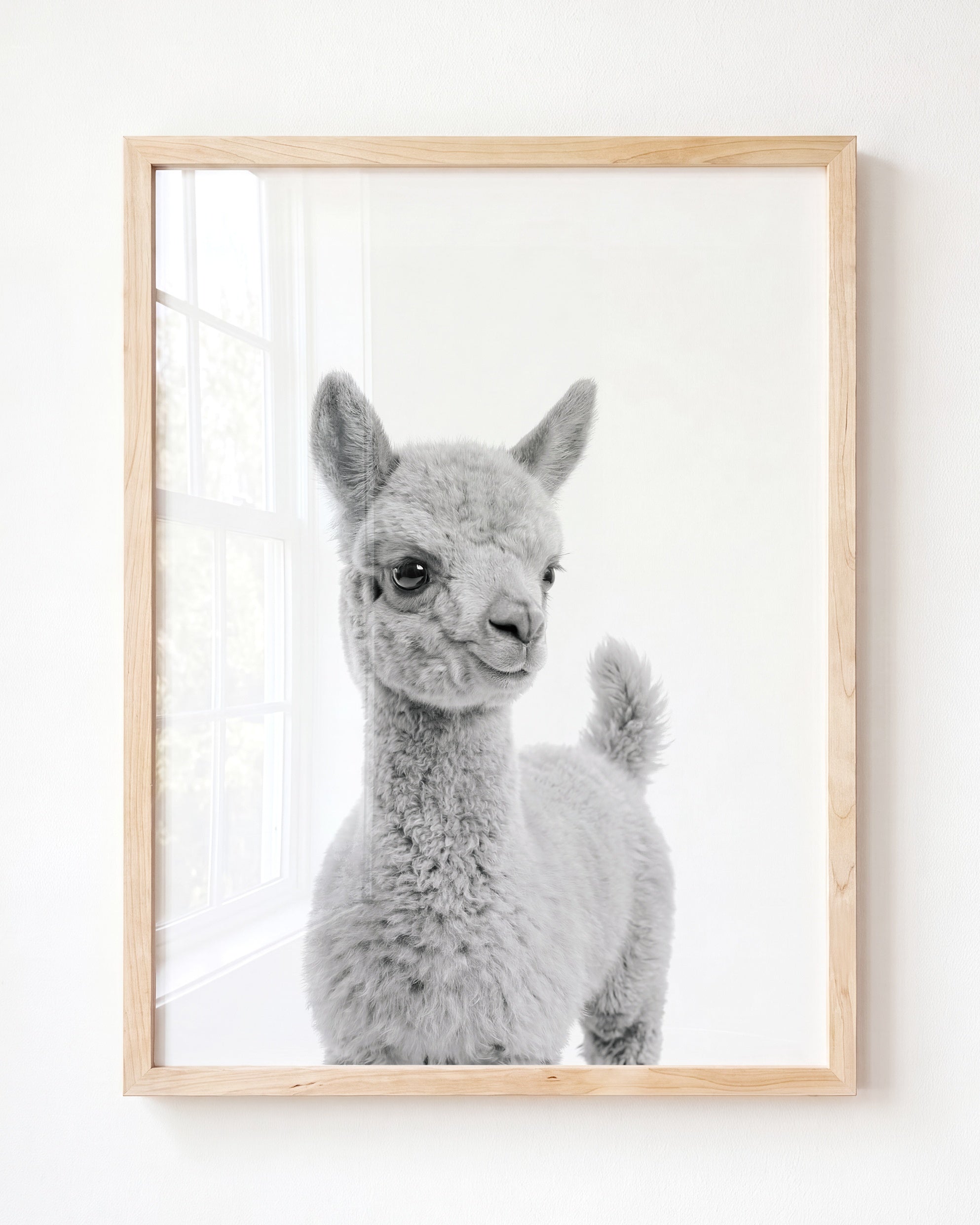 Baby Llama