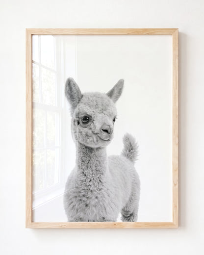 Baby Llama