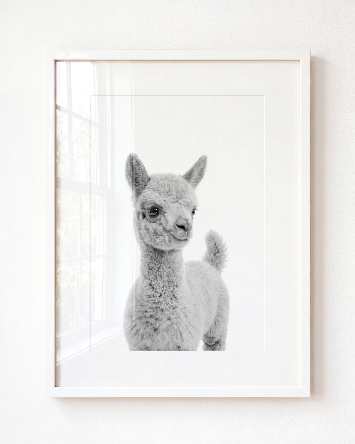 Baby Llama