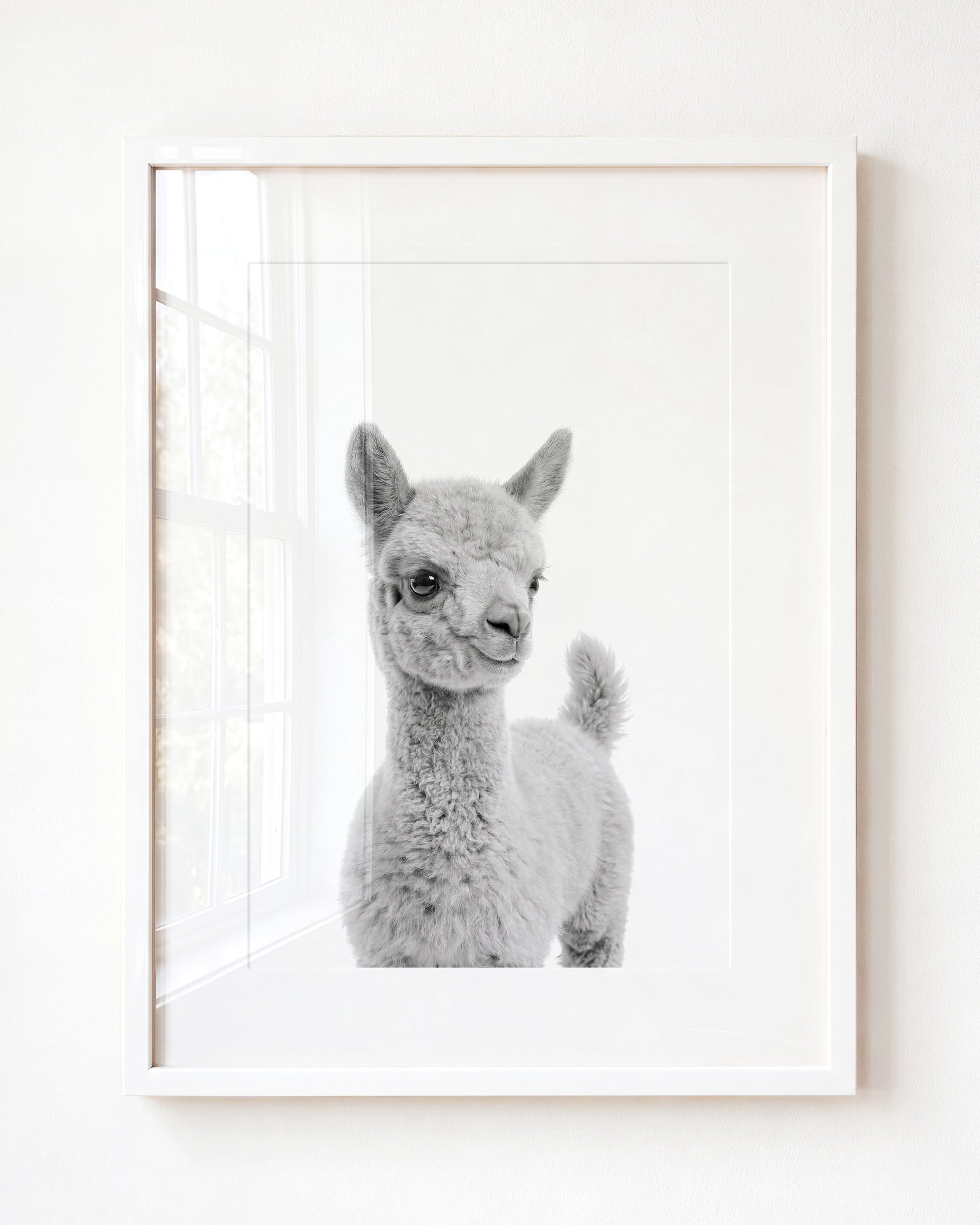 Baby Llama