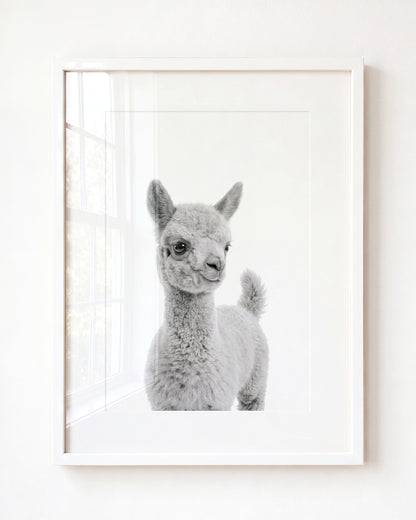 Baby Llama