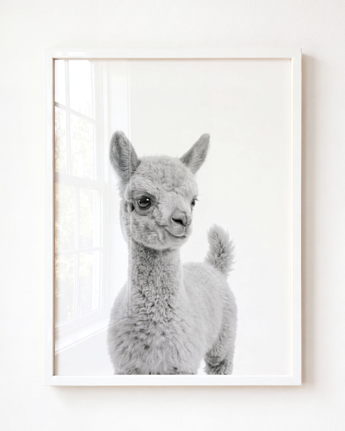 Baby Llama