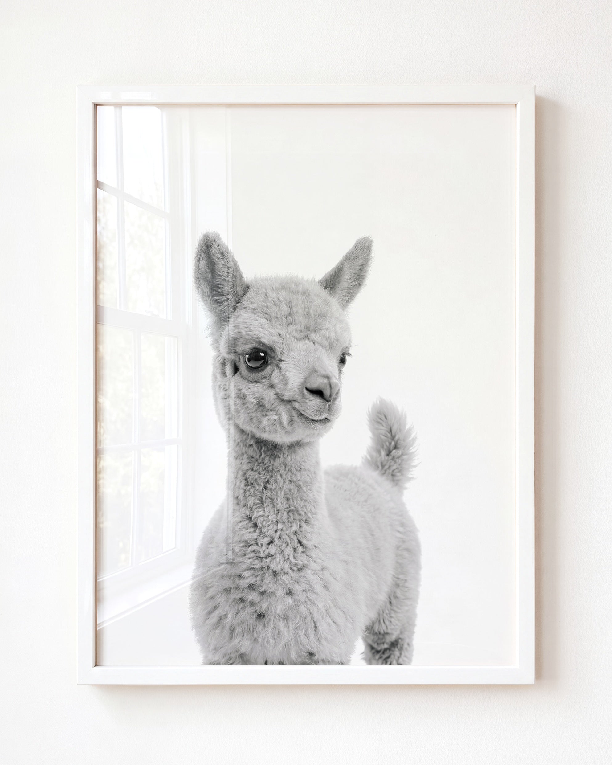Baby Llama