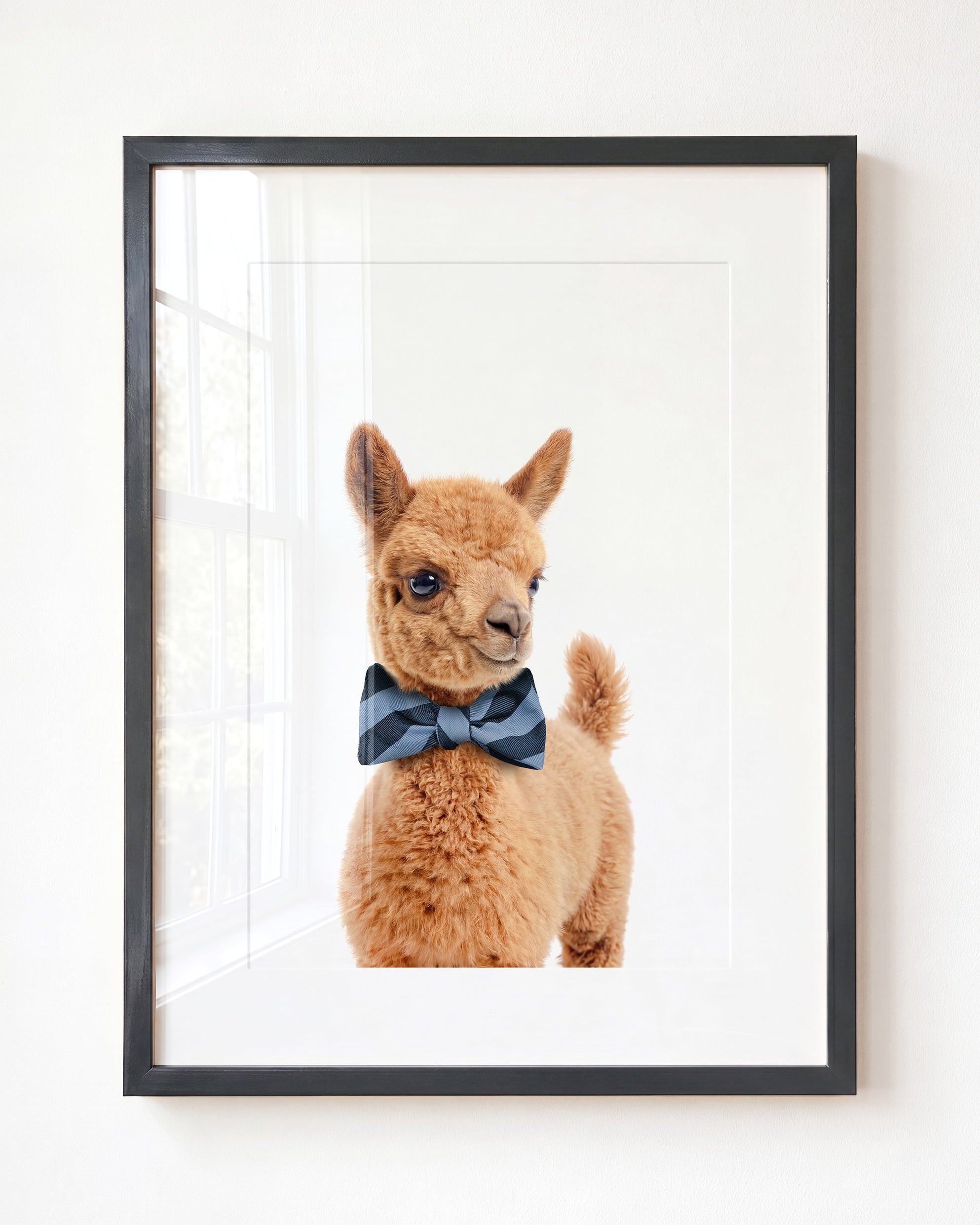 Baby Llama