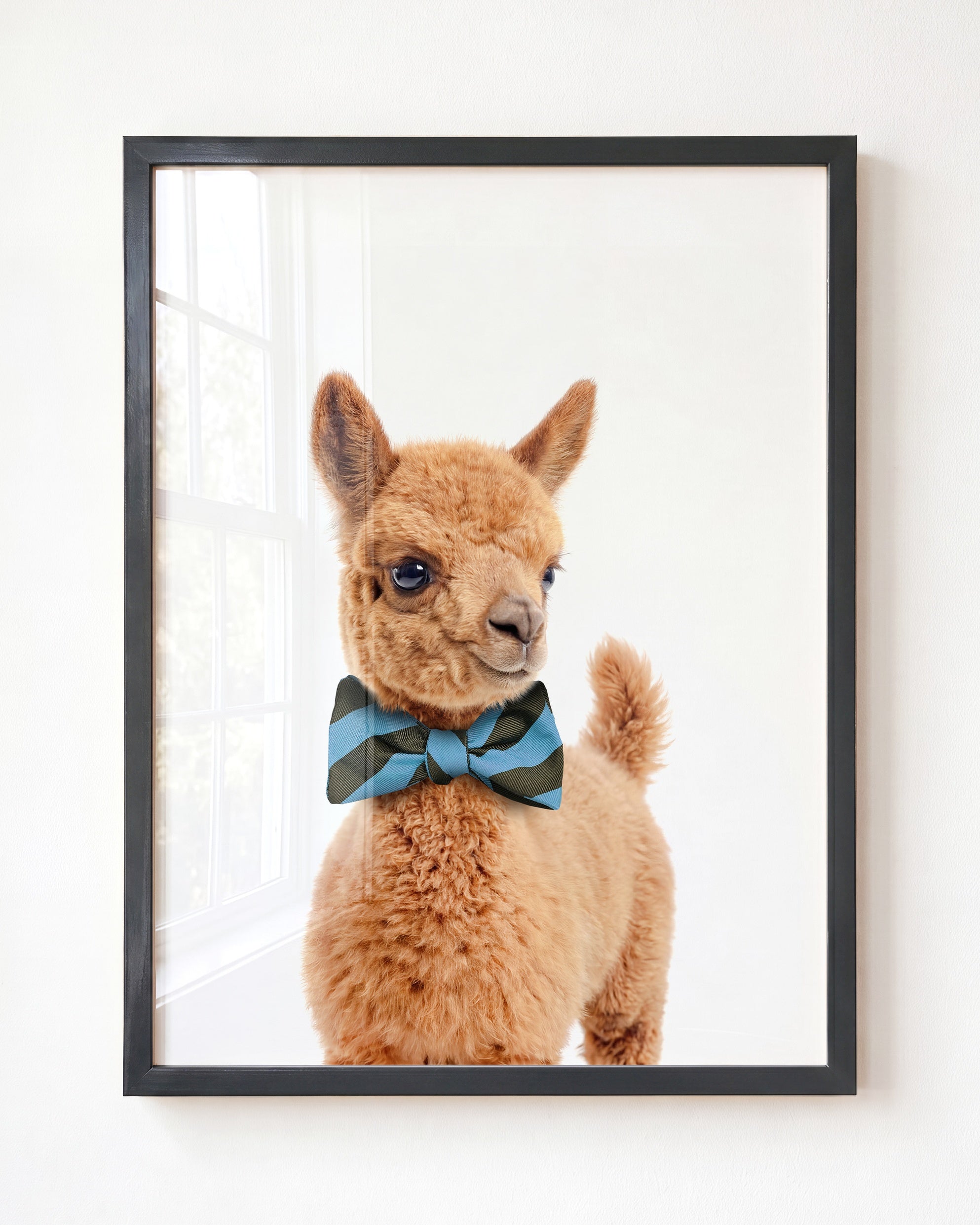 Baby Llama