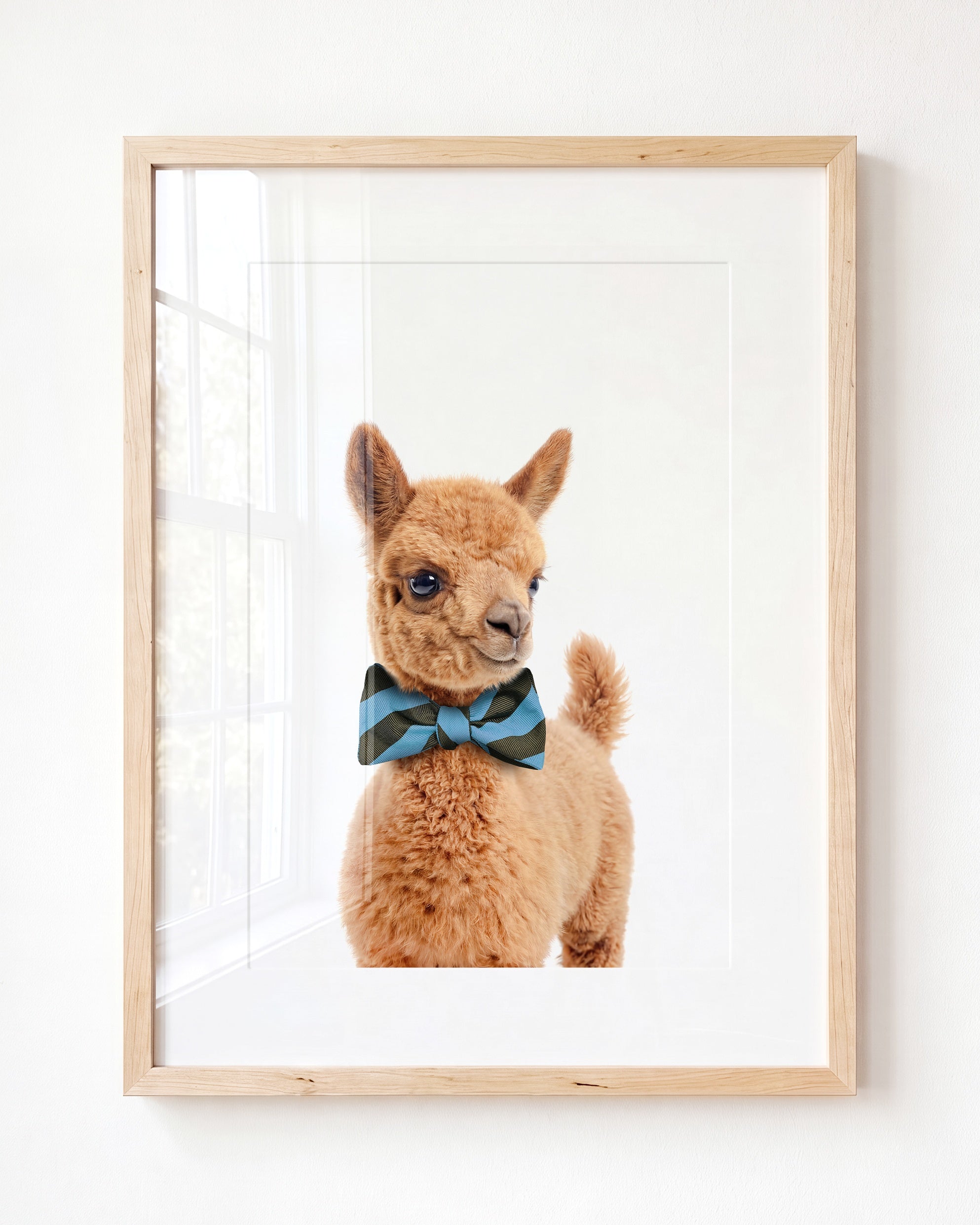 Baby Llama