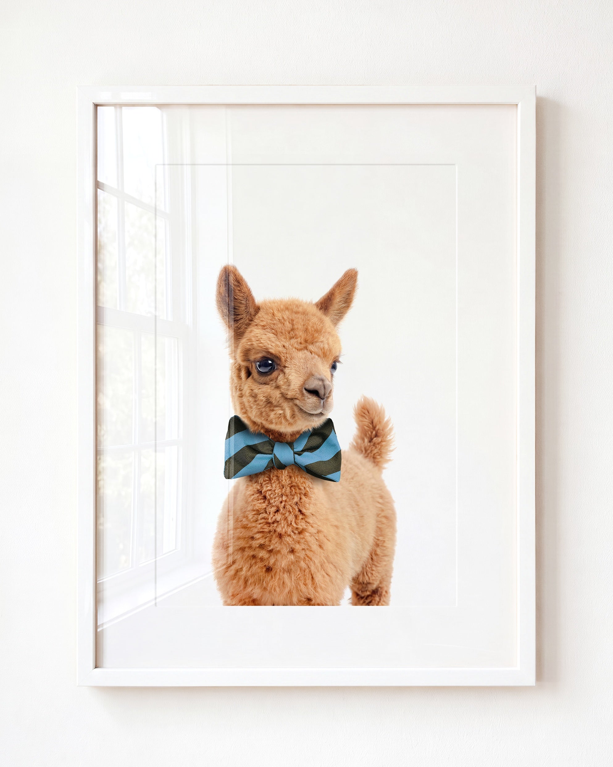 Baby Llama