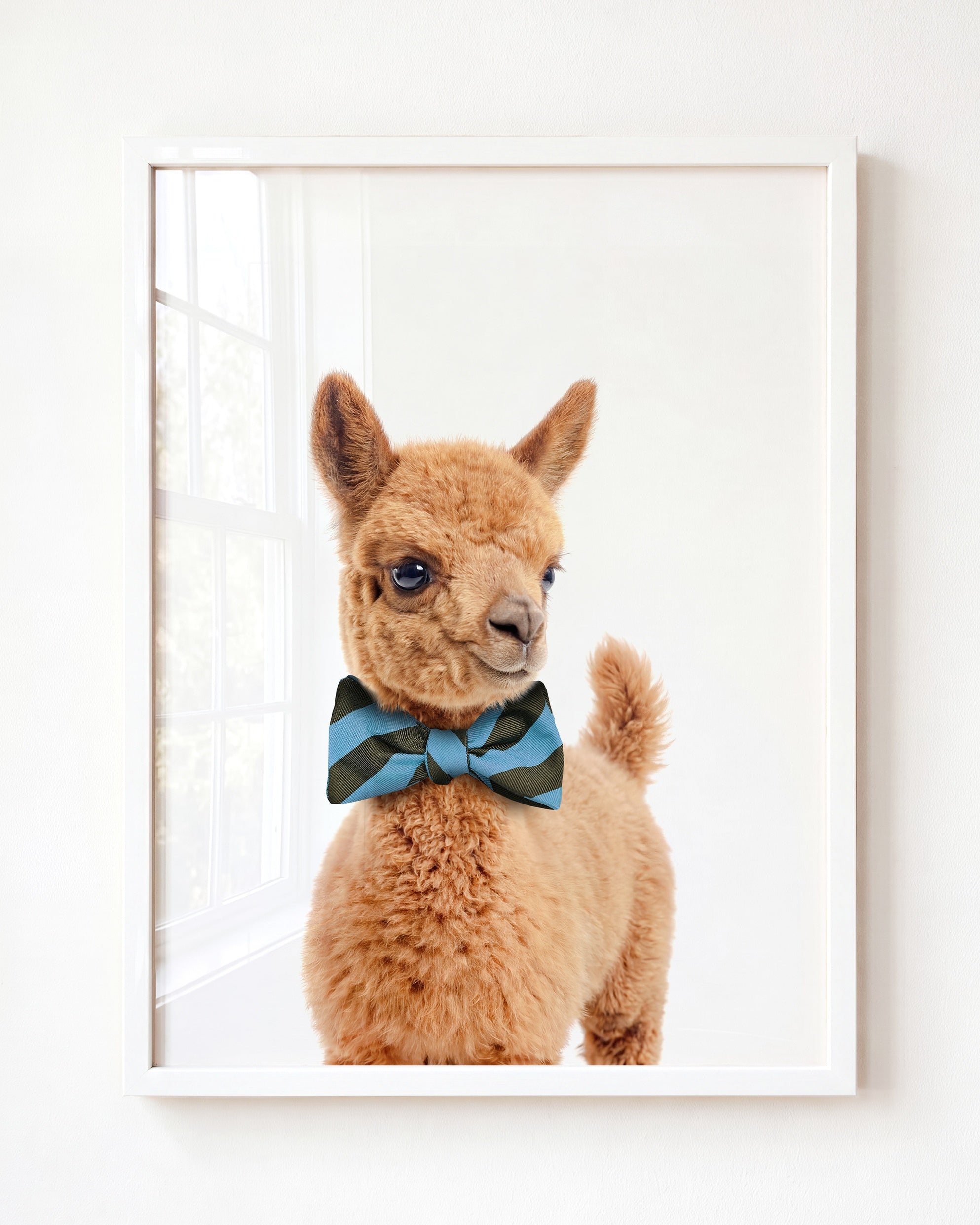 Baby Llama