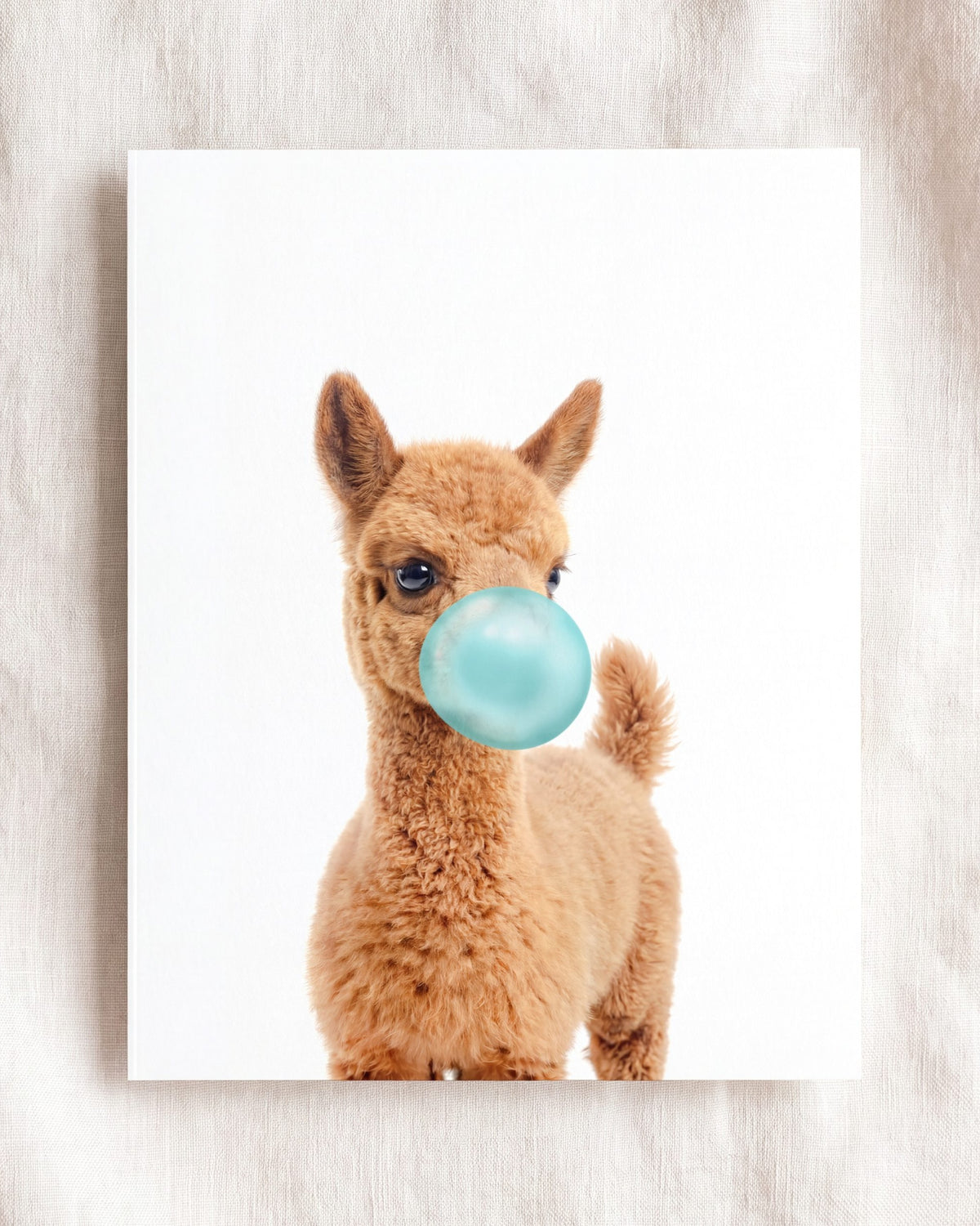 Baby Llama