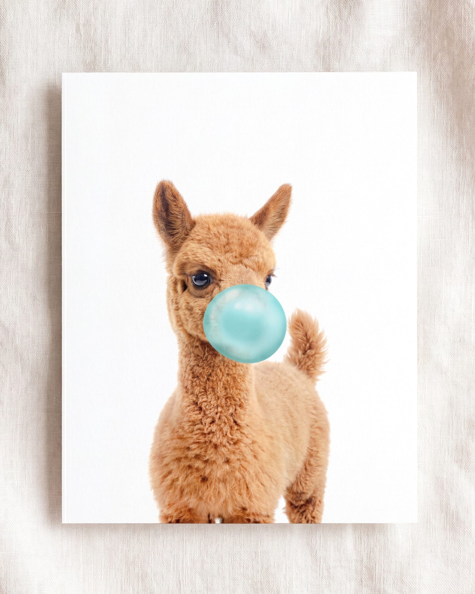 Baby Llama