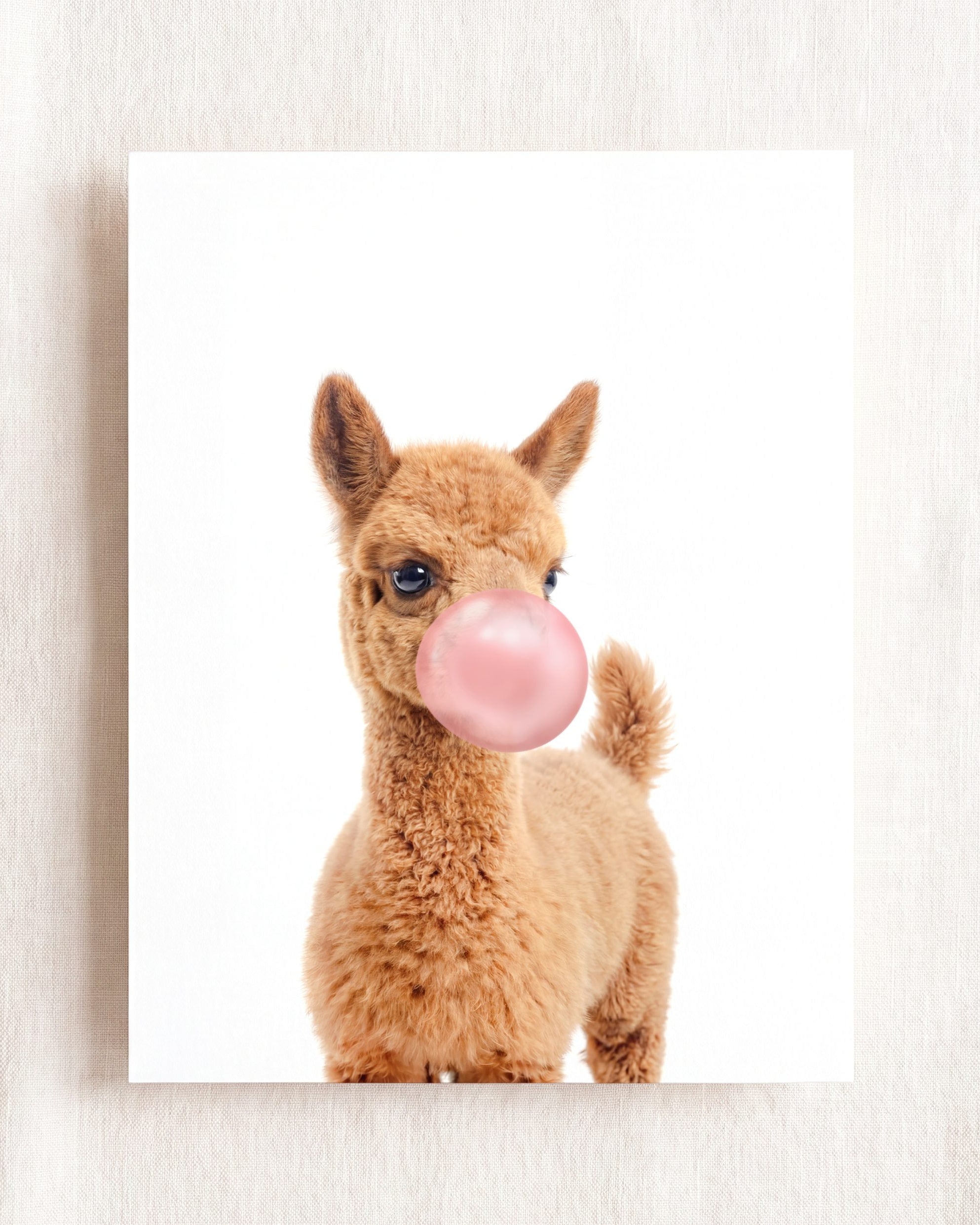 Baby Llama