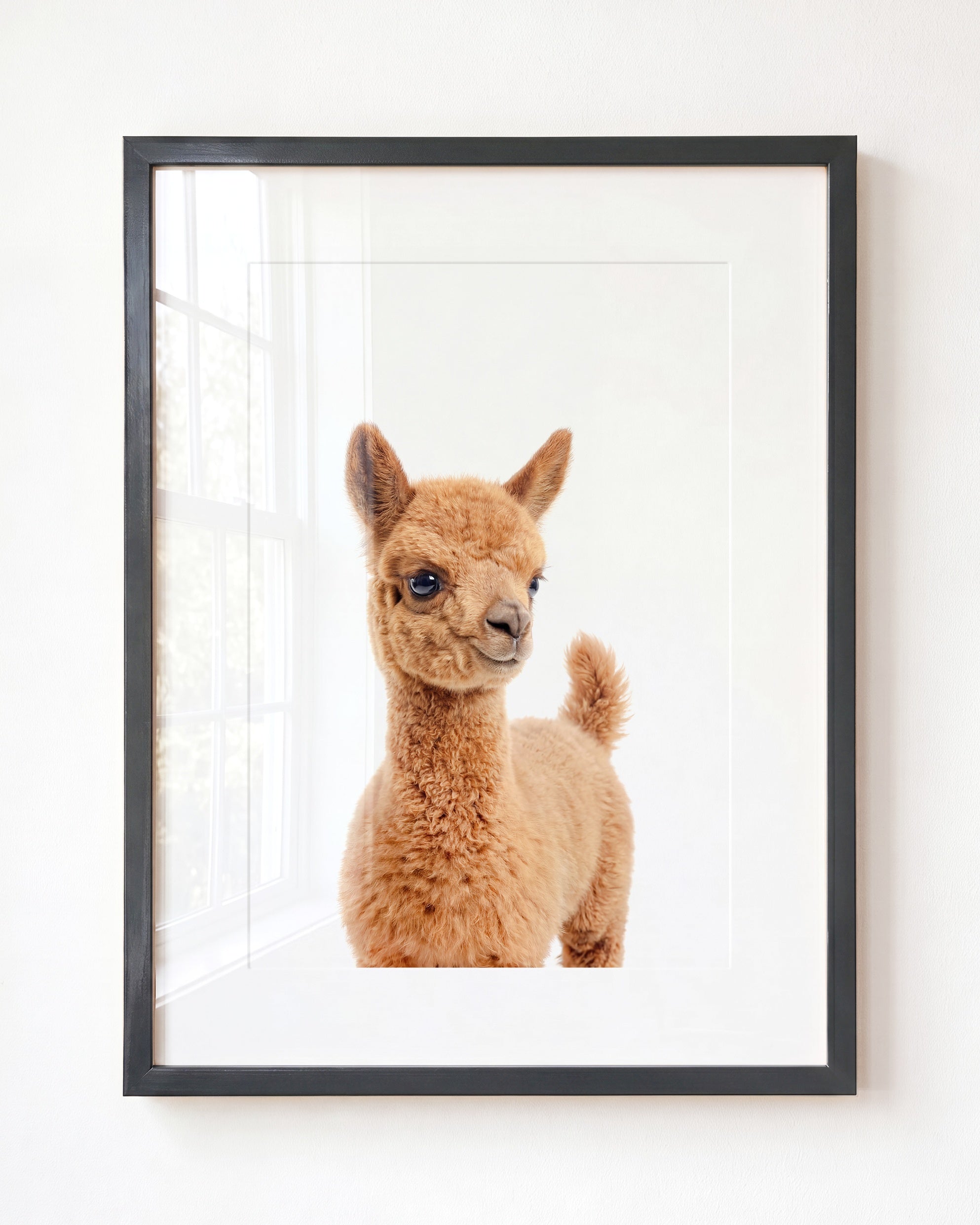 Baby Llama