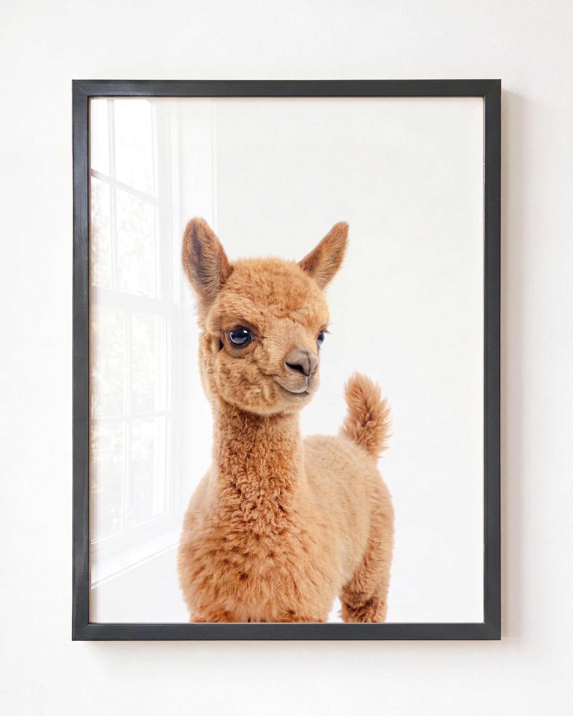 Baby Llama