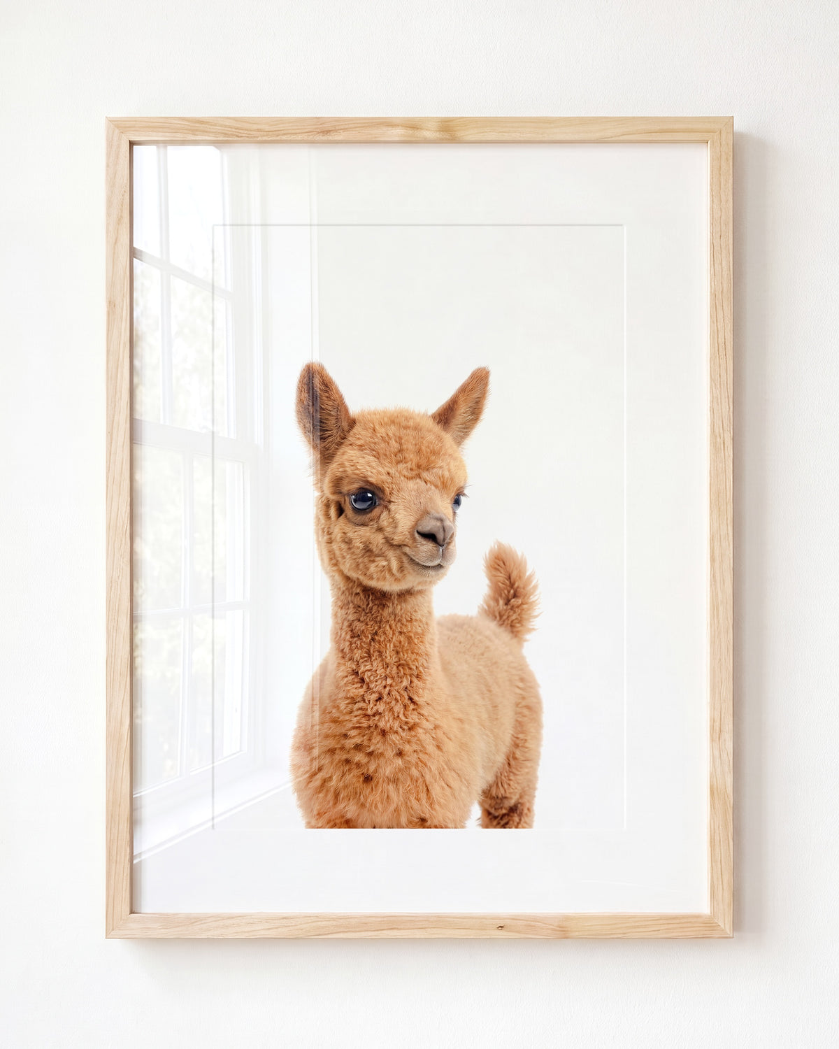 Baby Llama