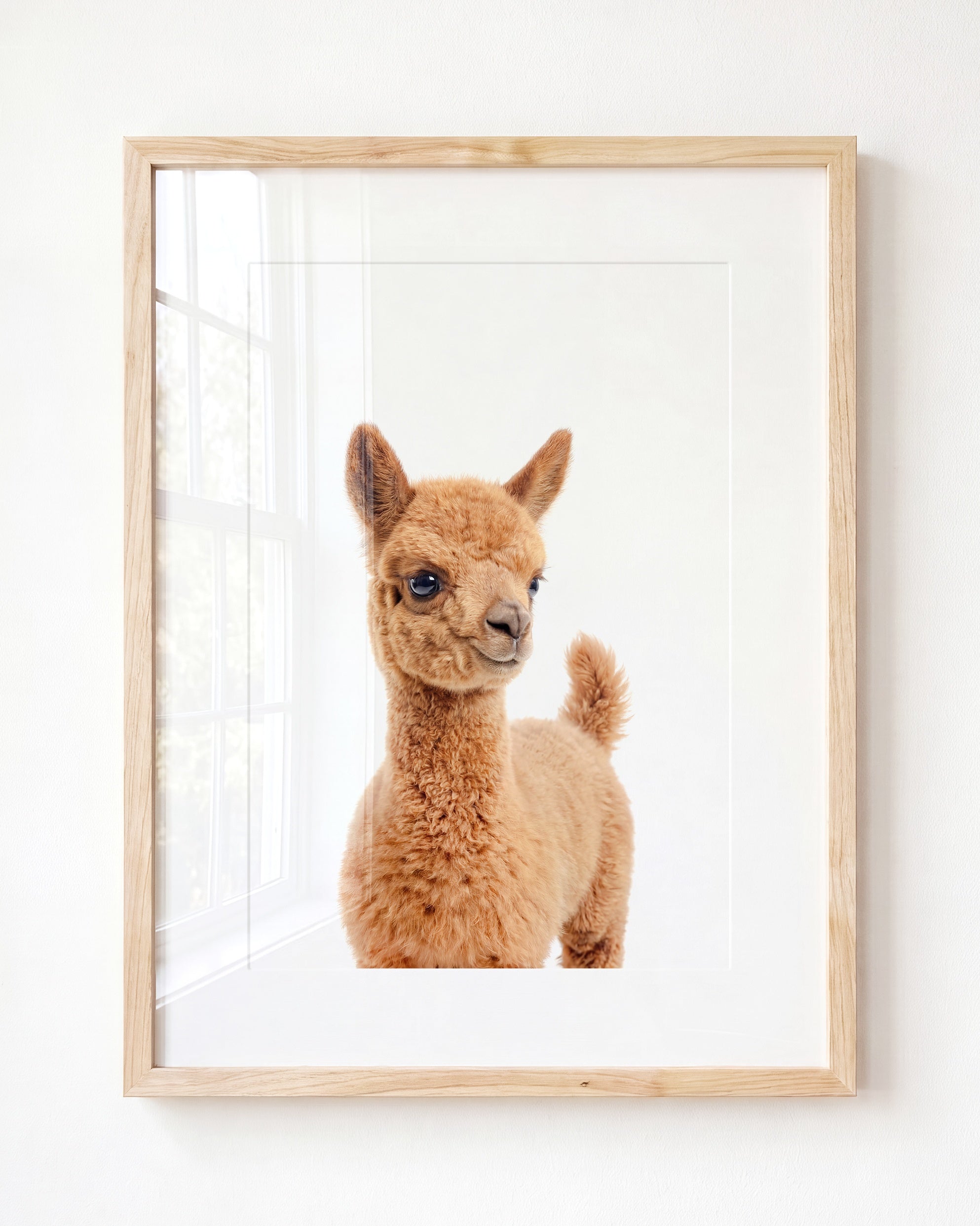 Baby Llama