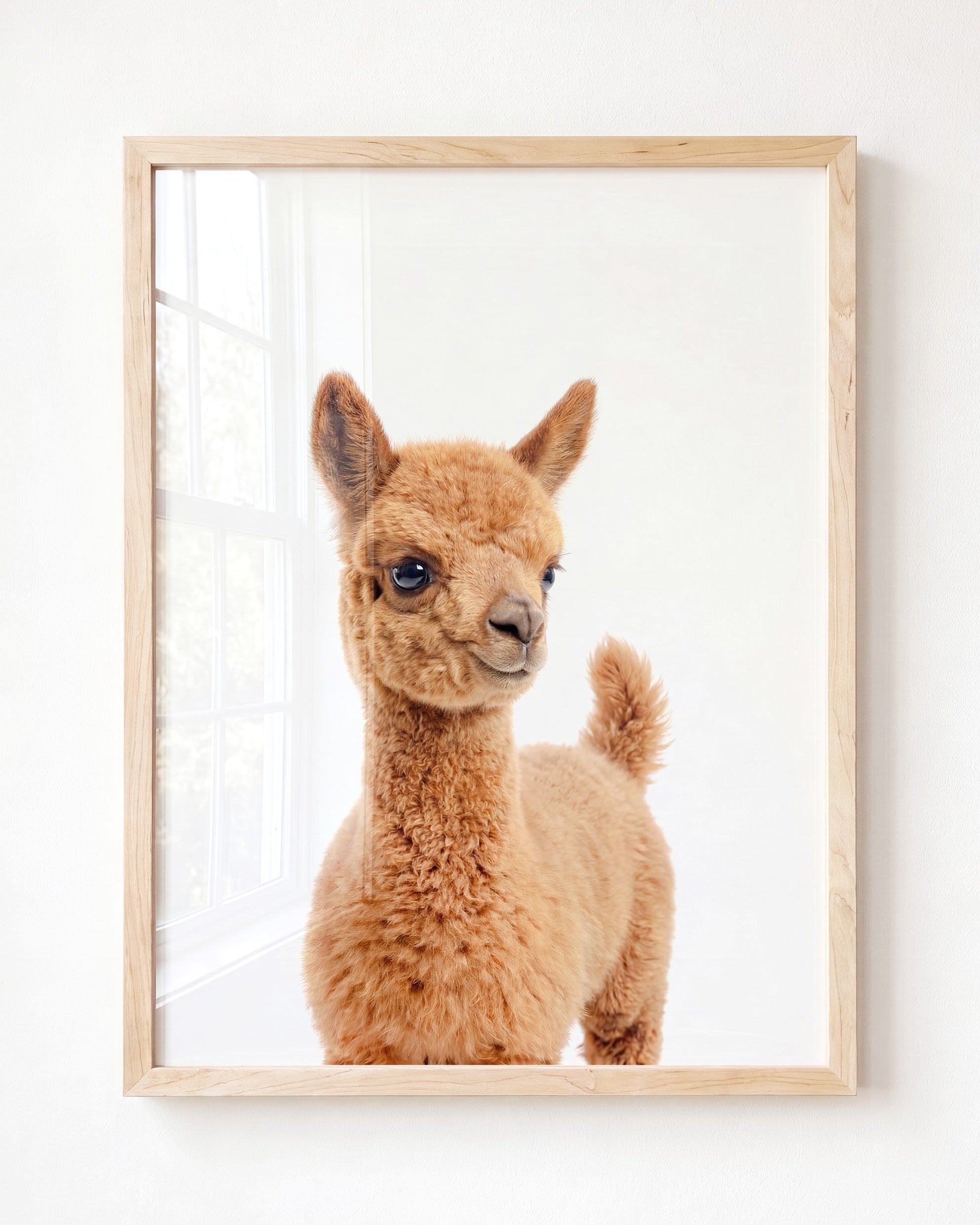 Baby Llama