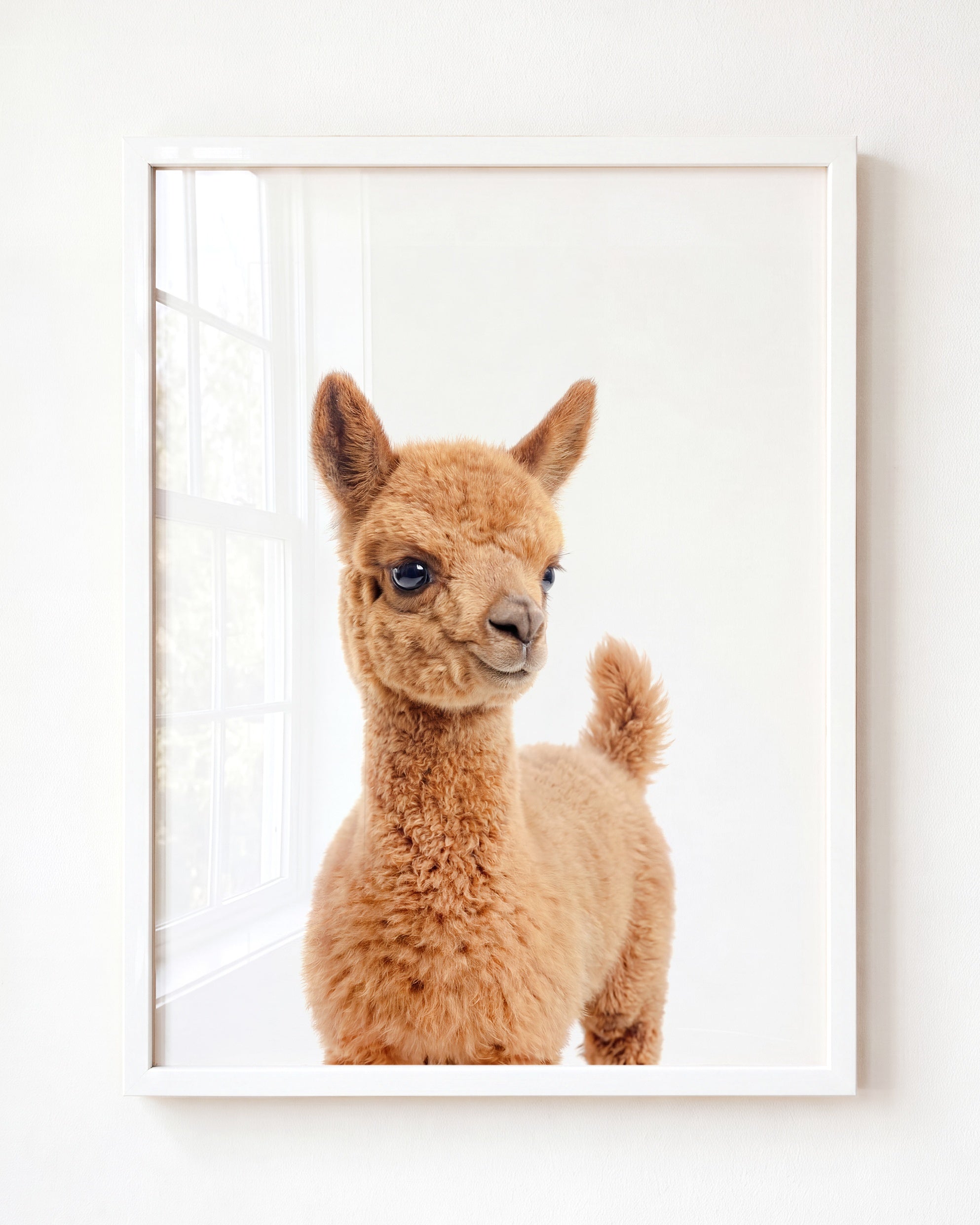 Baby Llama