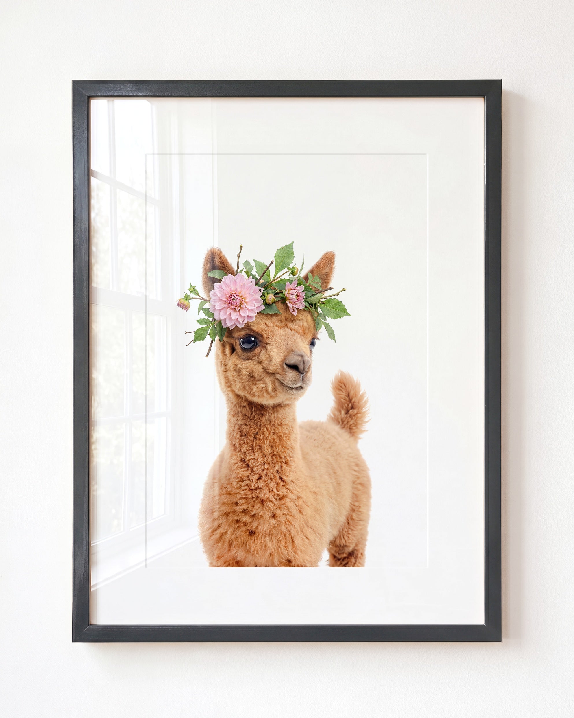 Baby Llama