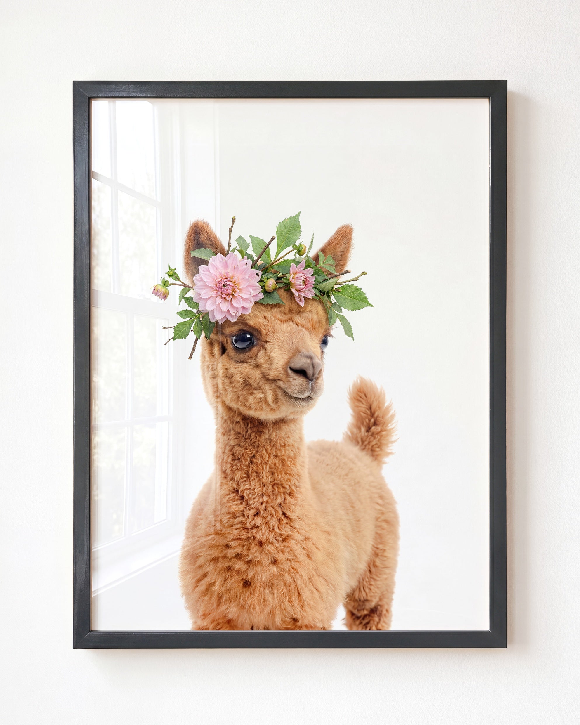 Baby Llama