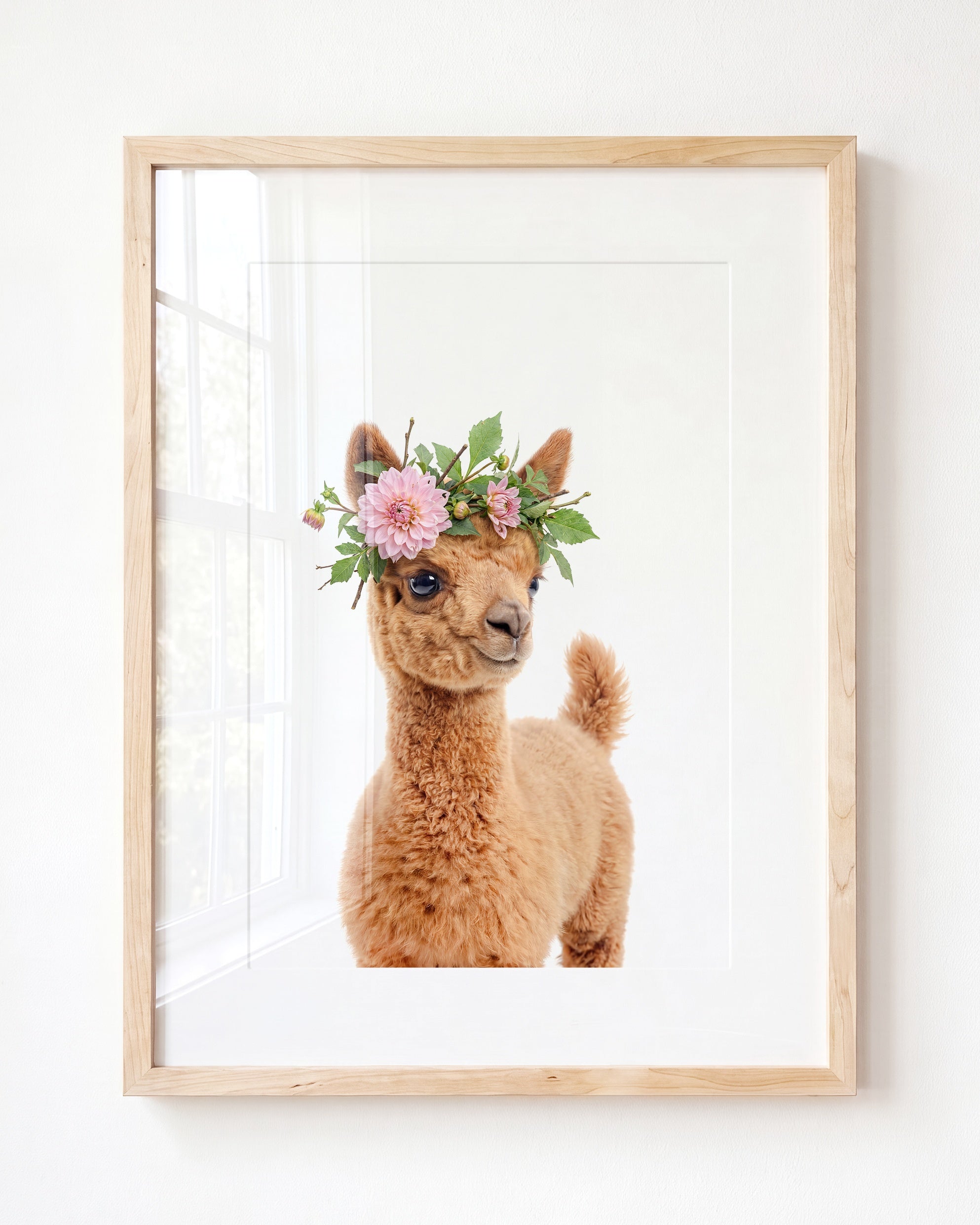 Baby Llama