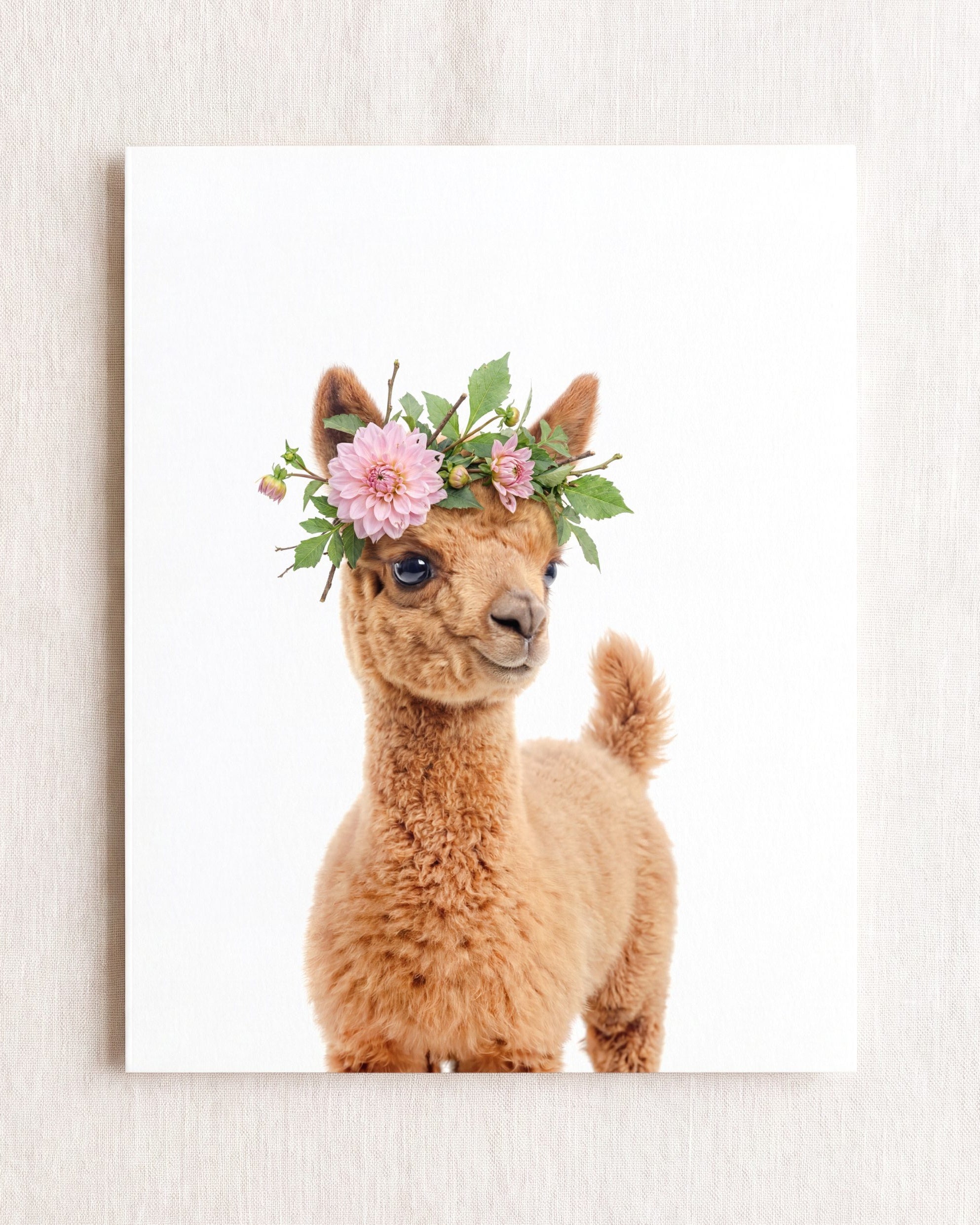 Baby Llama