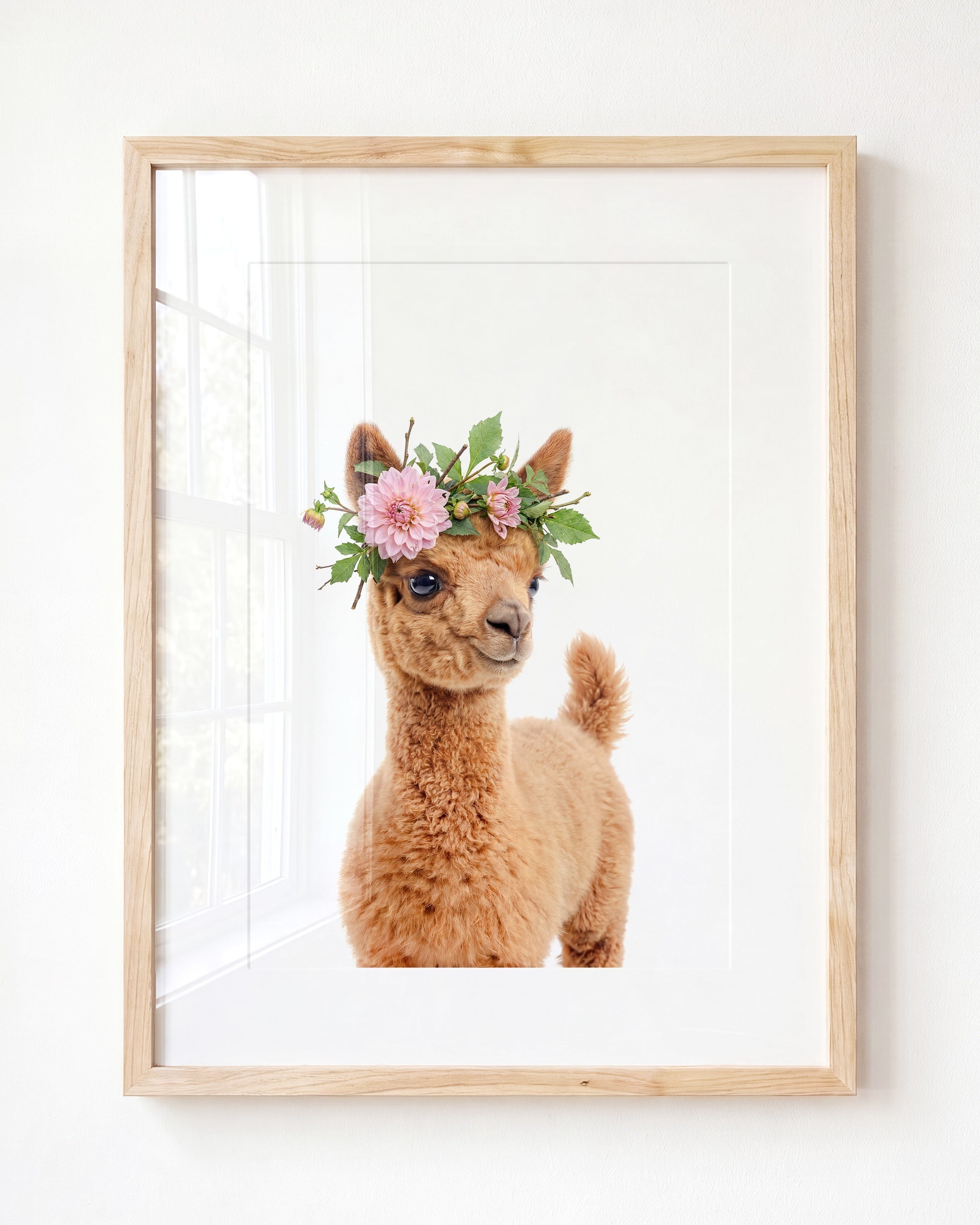 Baby Llama