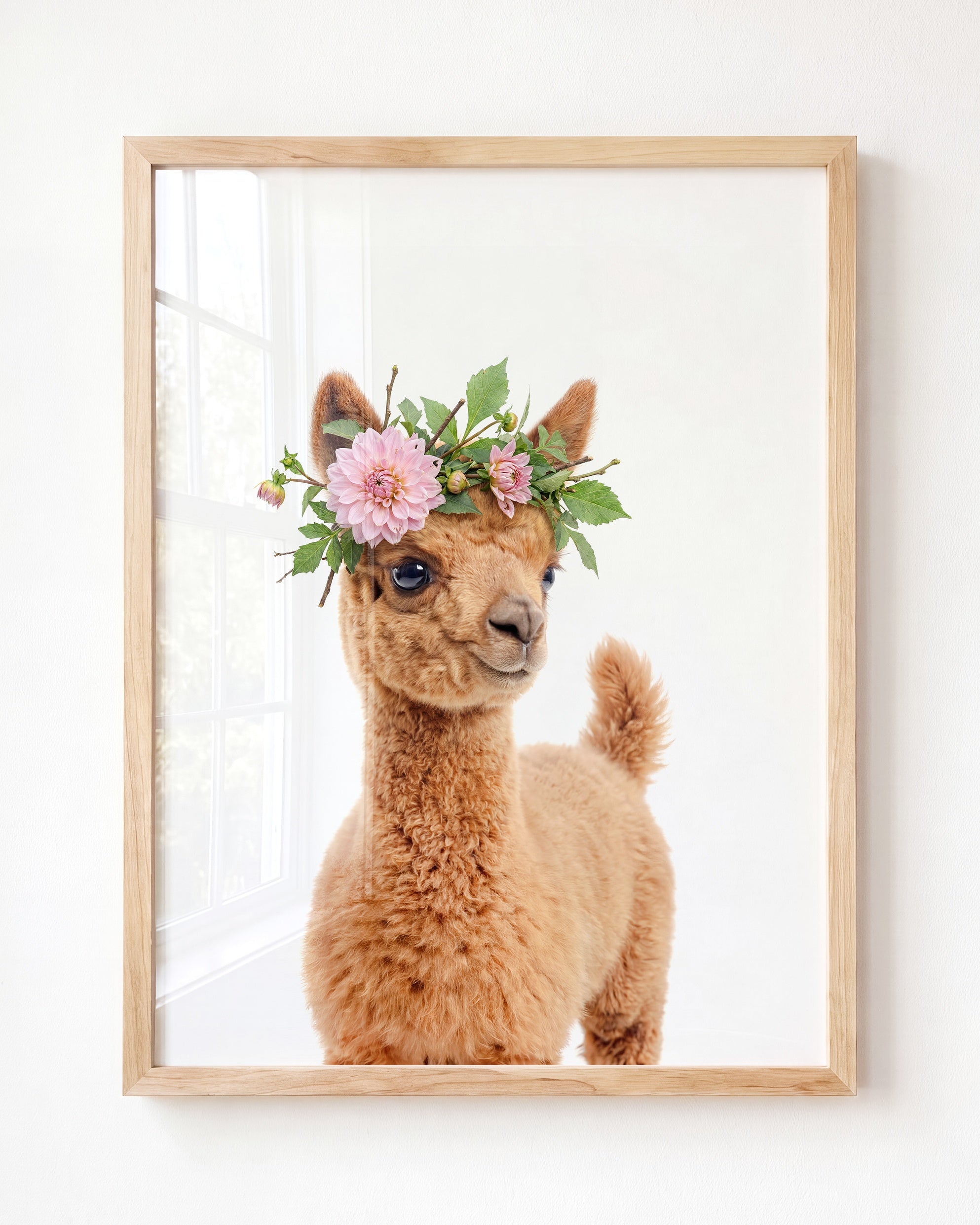 Baby Llama