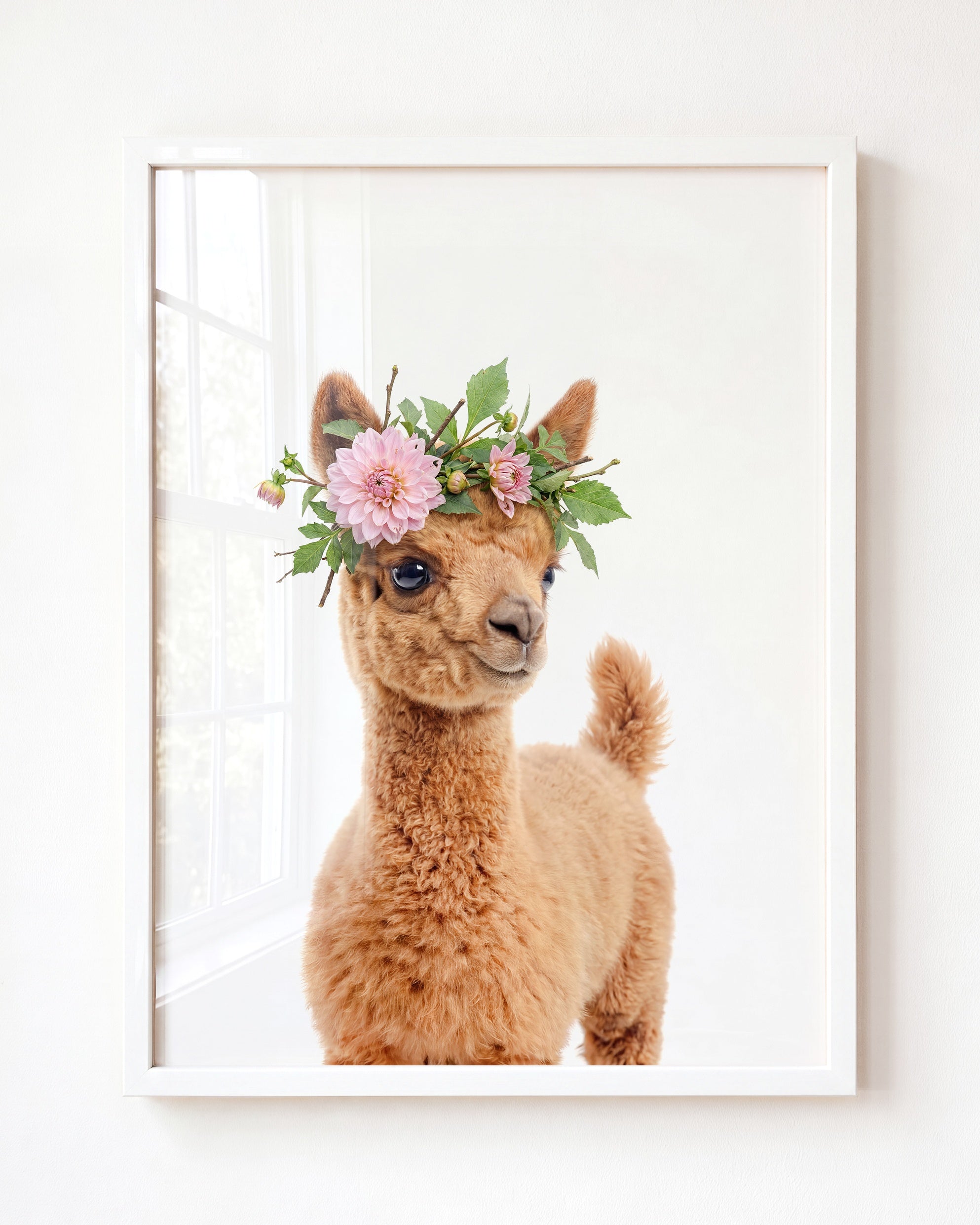 Baby Llama