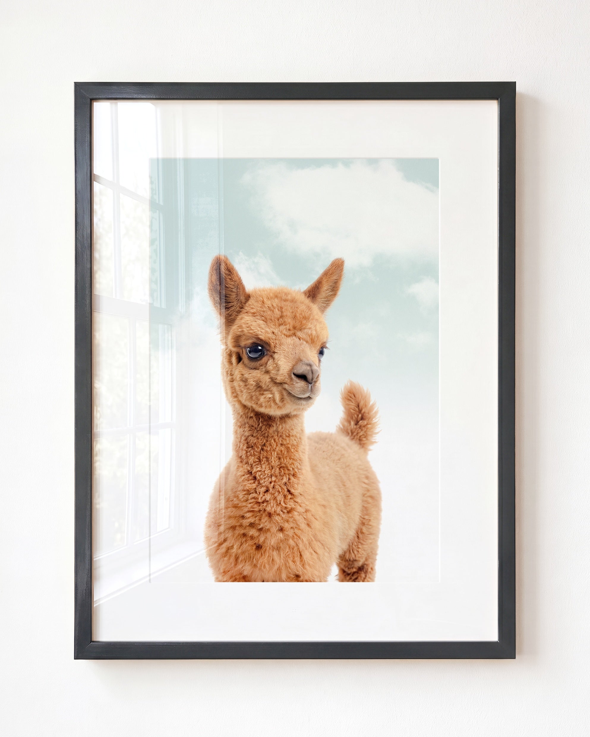 Baby Llama