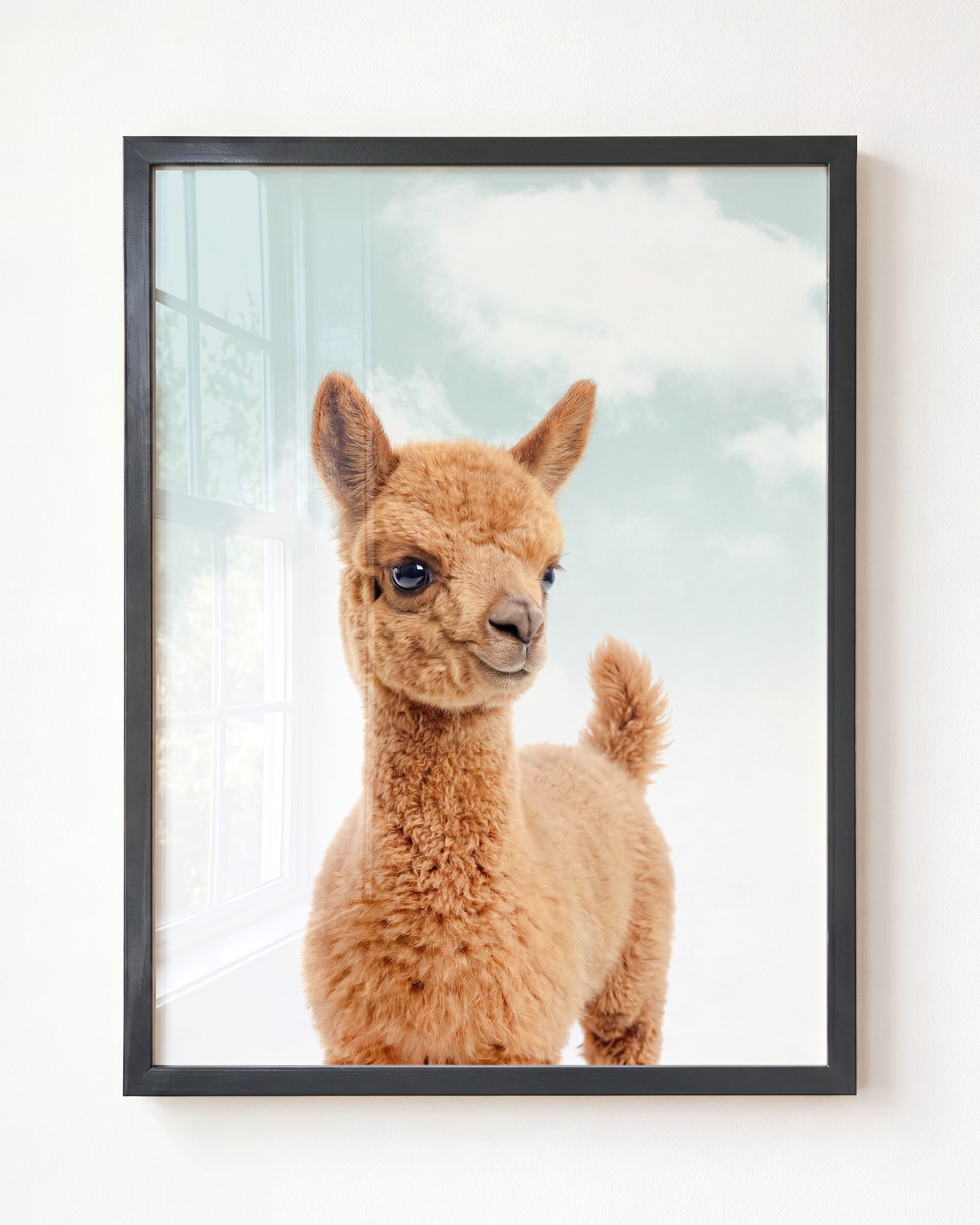 Baby Llama